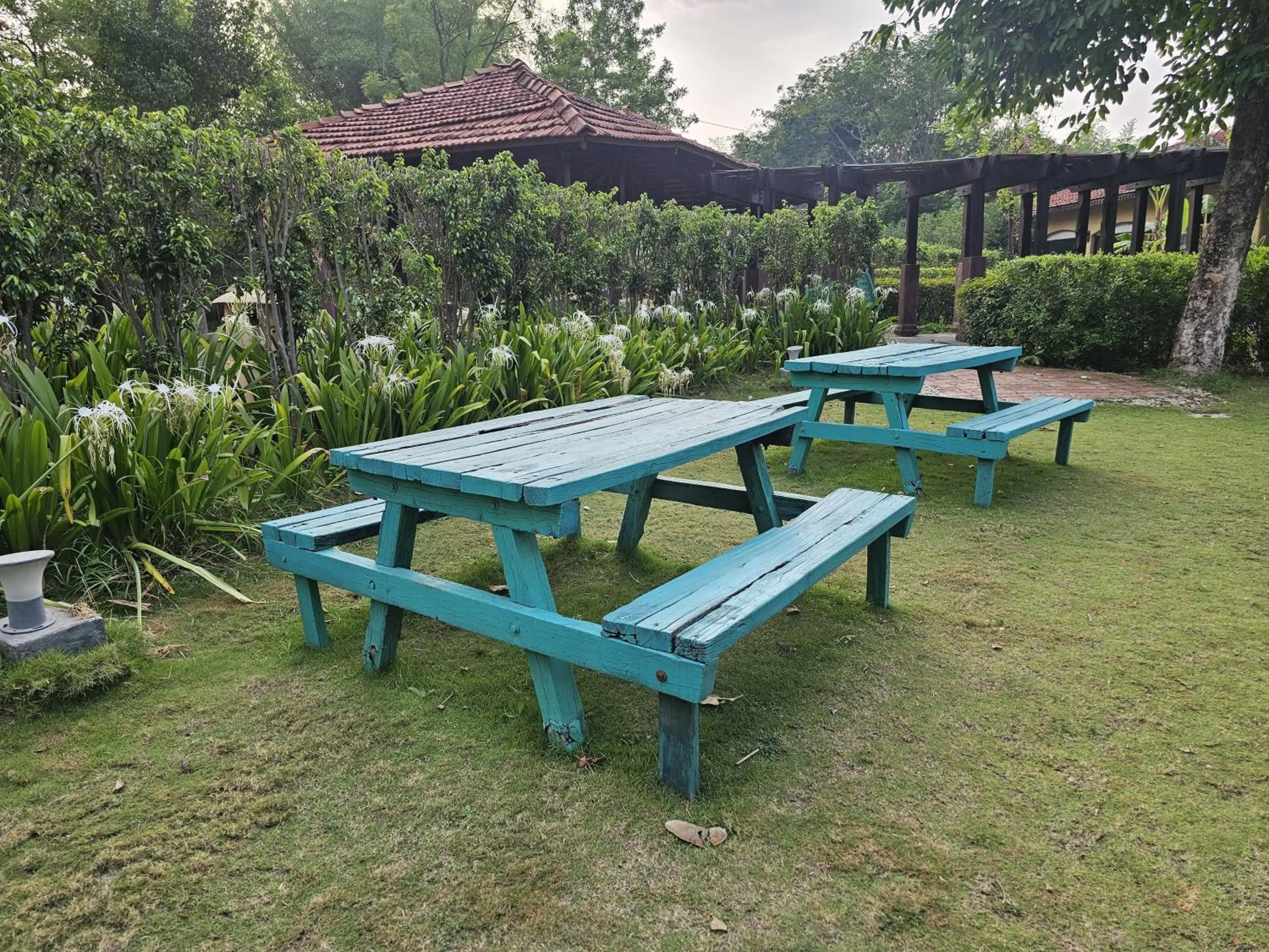 Garden in The Celebration Van Vilas