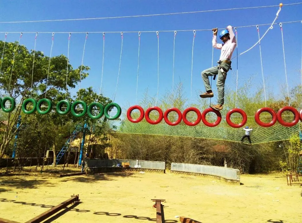 Day in The Celebration Van Vilas