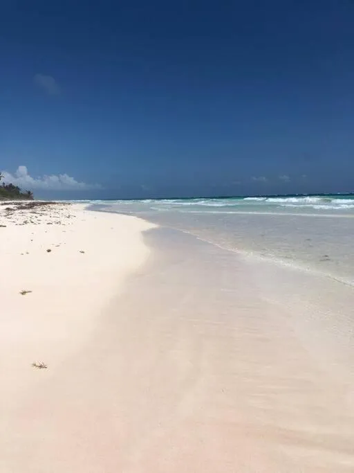 Luxury 2 BDR 2 BTH 2 Bikes Jacuzzi FibOptic WiFi.