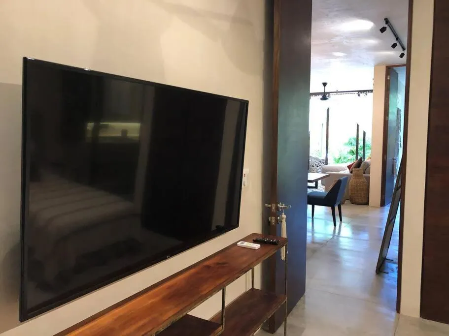 TV and multimedia in Luxury 2 BDR 2 BTH 2 Bikes Jacuzzi FibOptic WiFi.