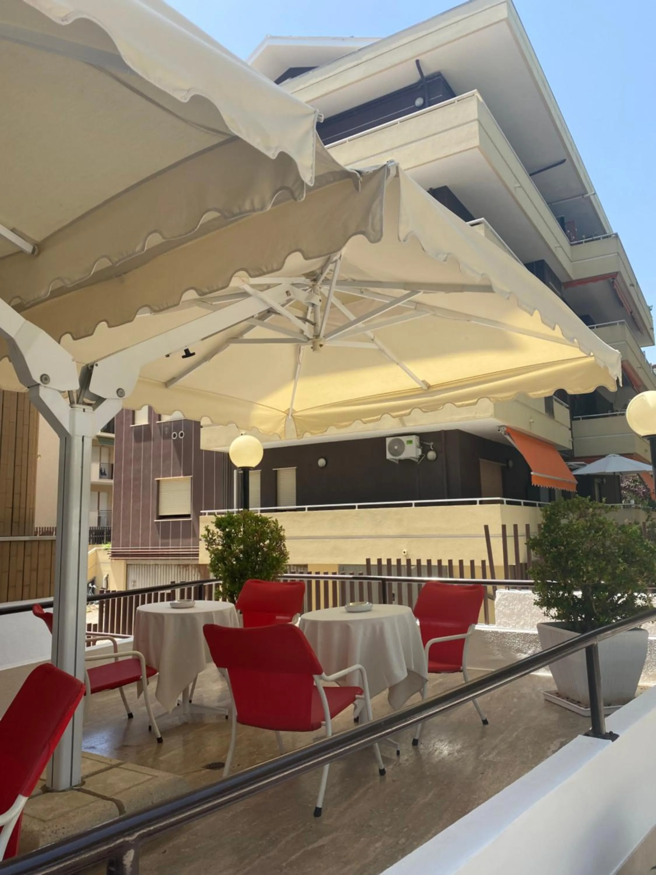 Garden in Hotel Astoria