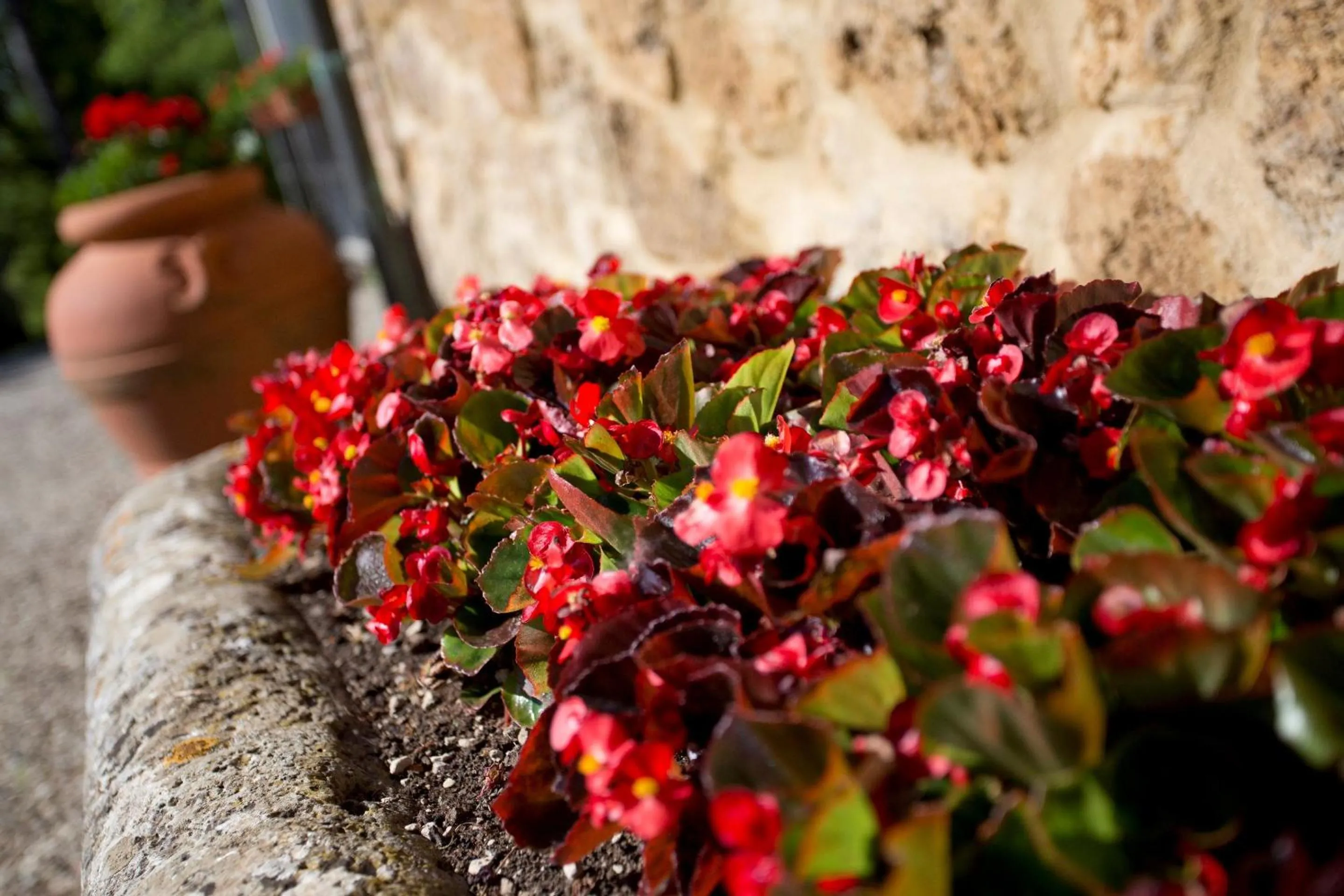 Decorative detail in Agriturismo San Galgano