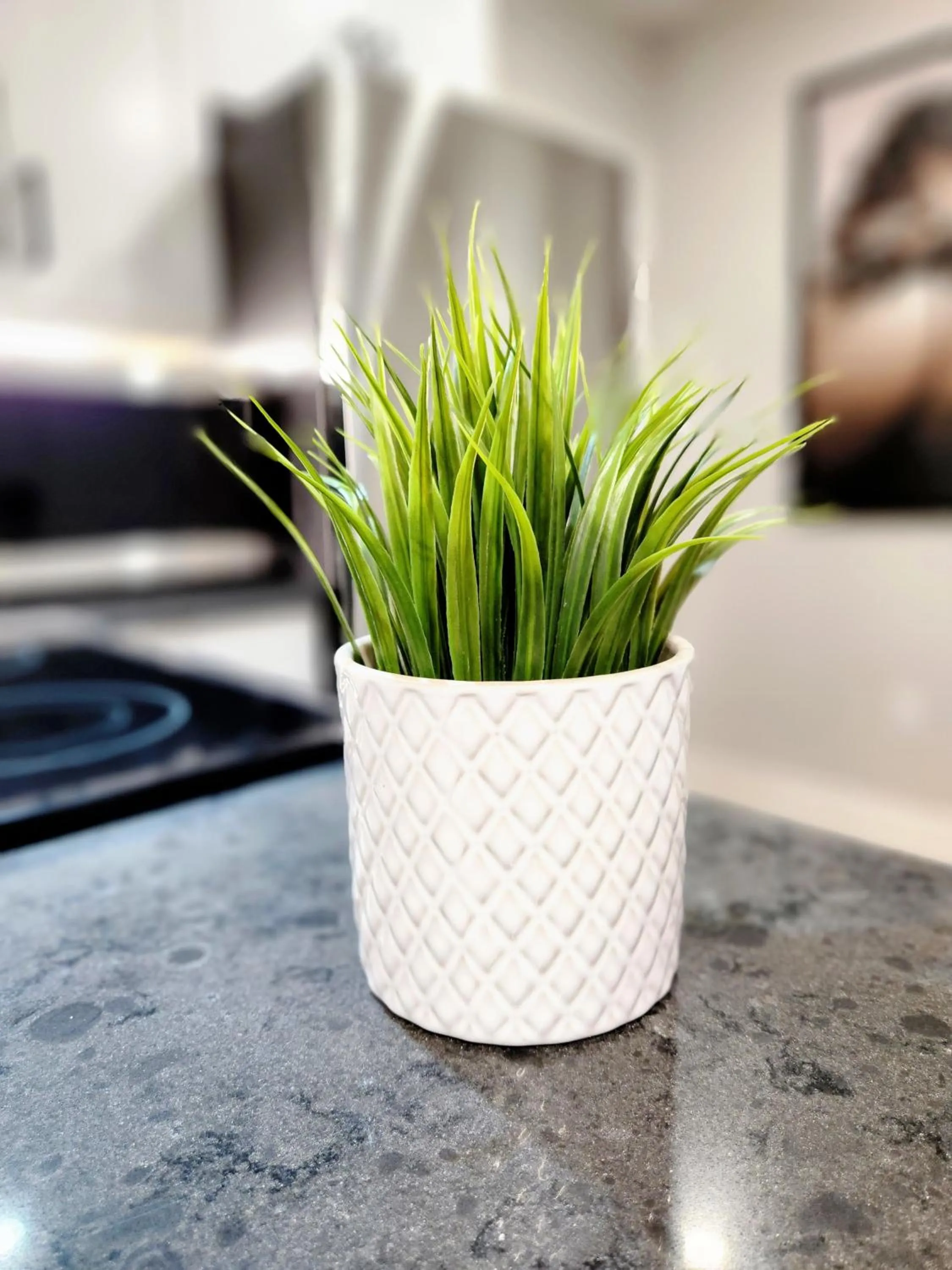 Living room in The Cozy Cove Modern King-Bedroom Full Apartment