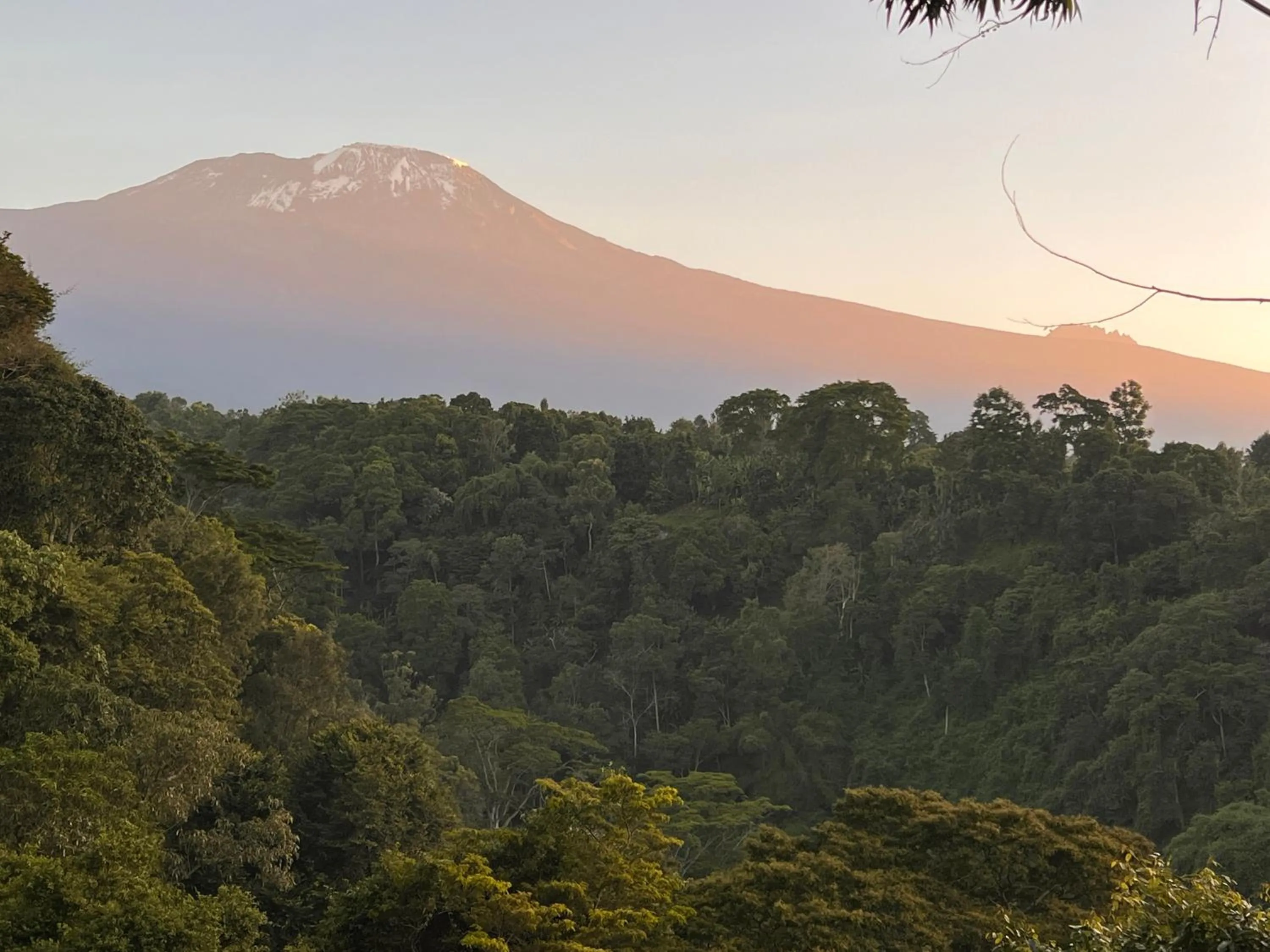 Restaurant/places to eat in Kaliwa Lodge