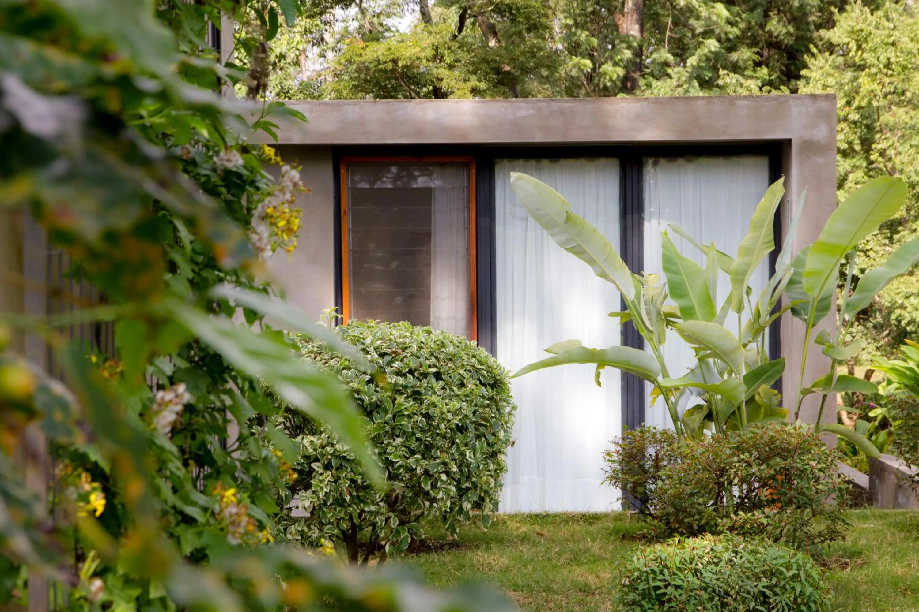 Garden in Kaliwa Lodge