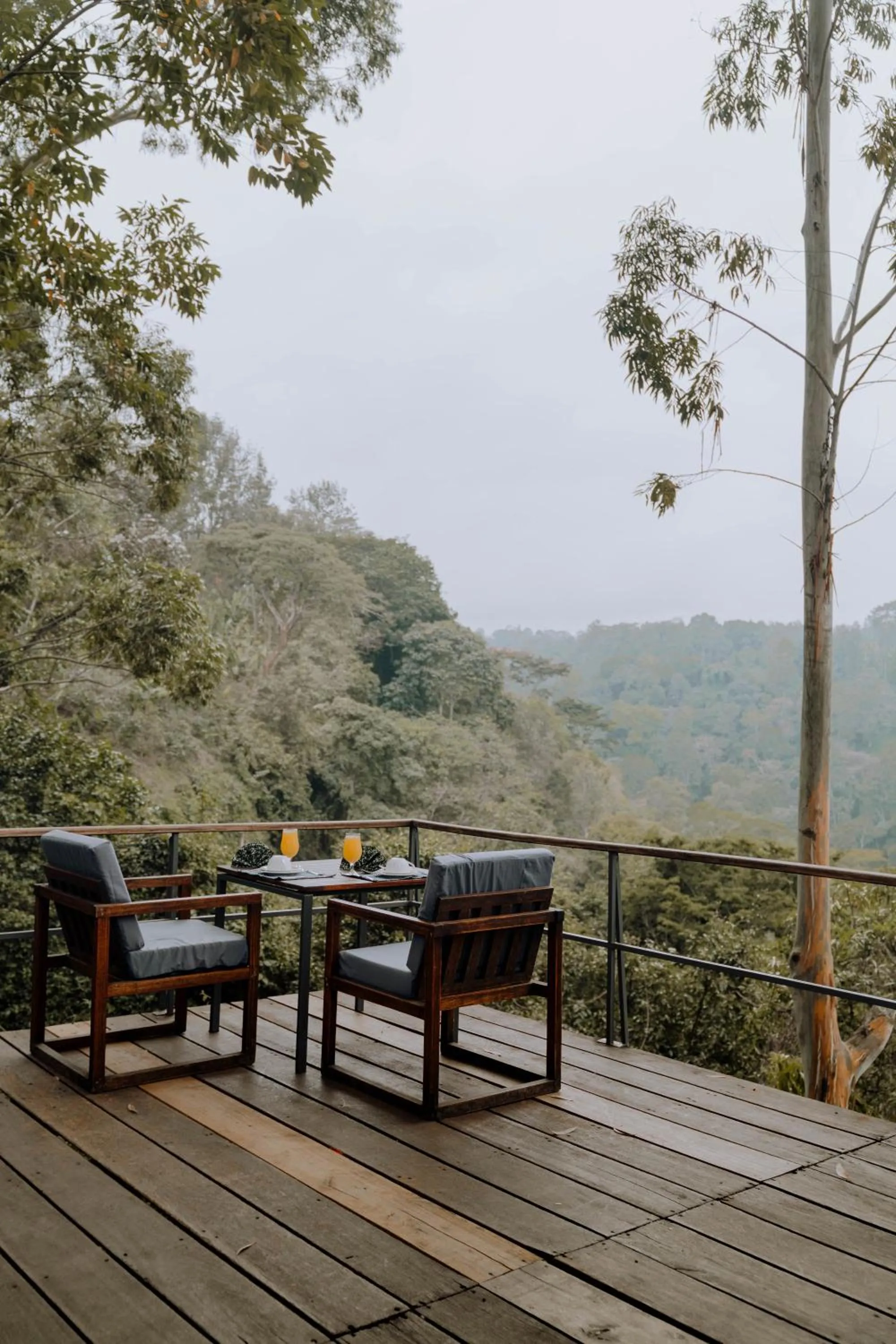 Spring in Kaliwa Lodge