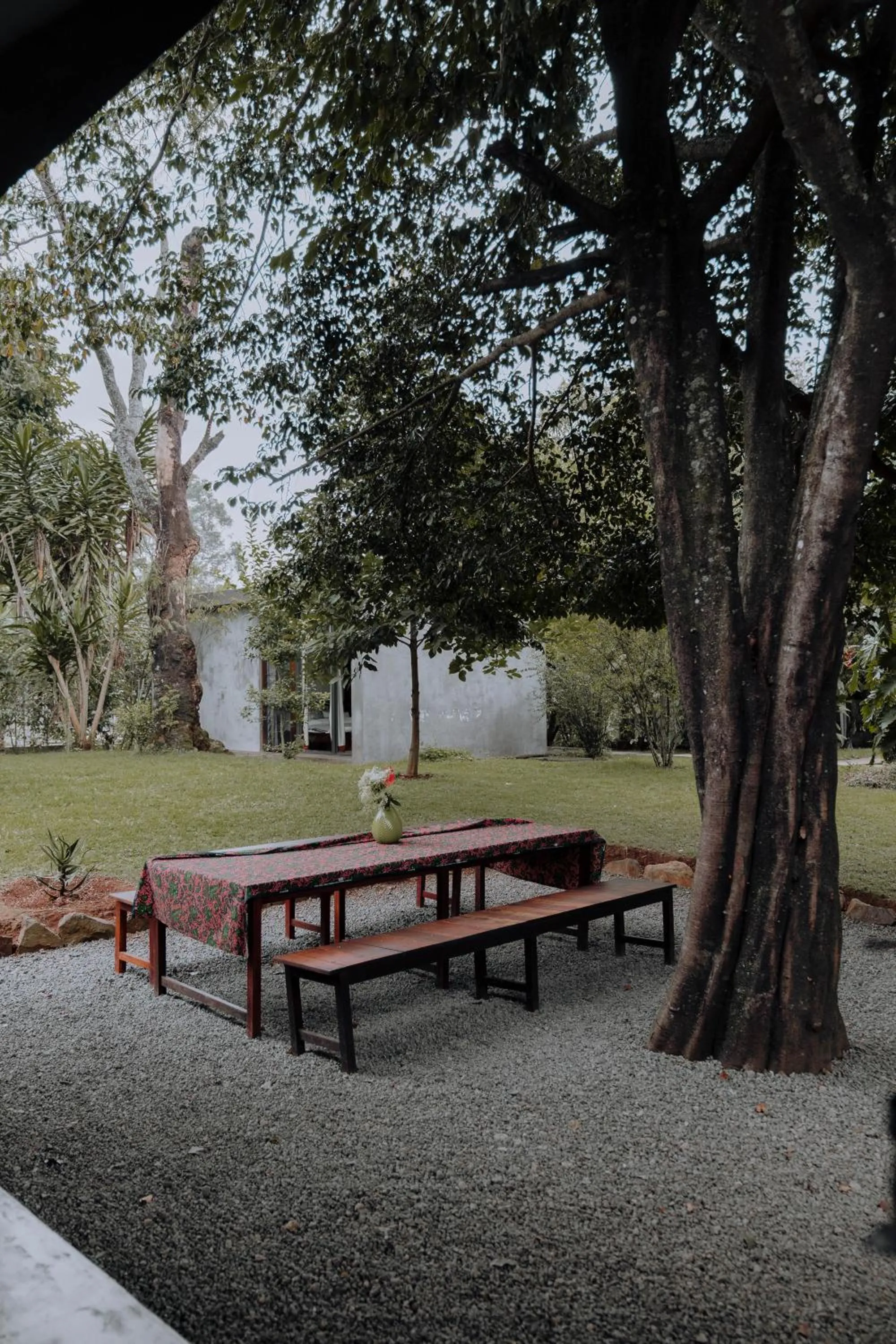 Spring in Kaliwa Lodge