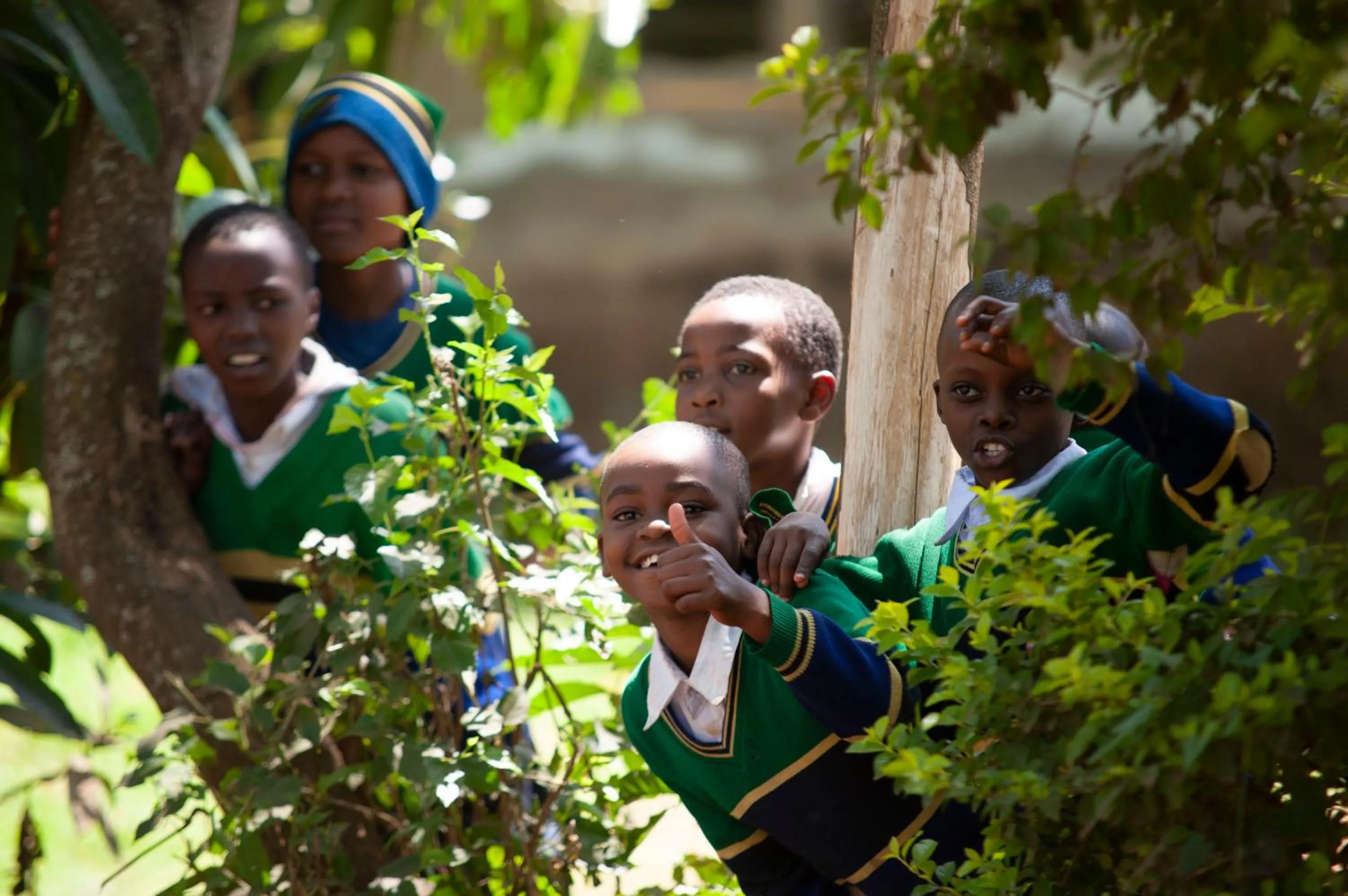 Spring in Kaliwa Lodge