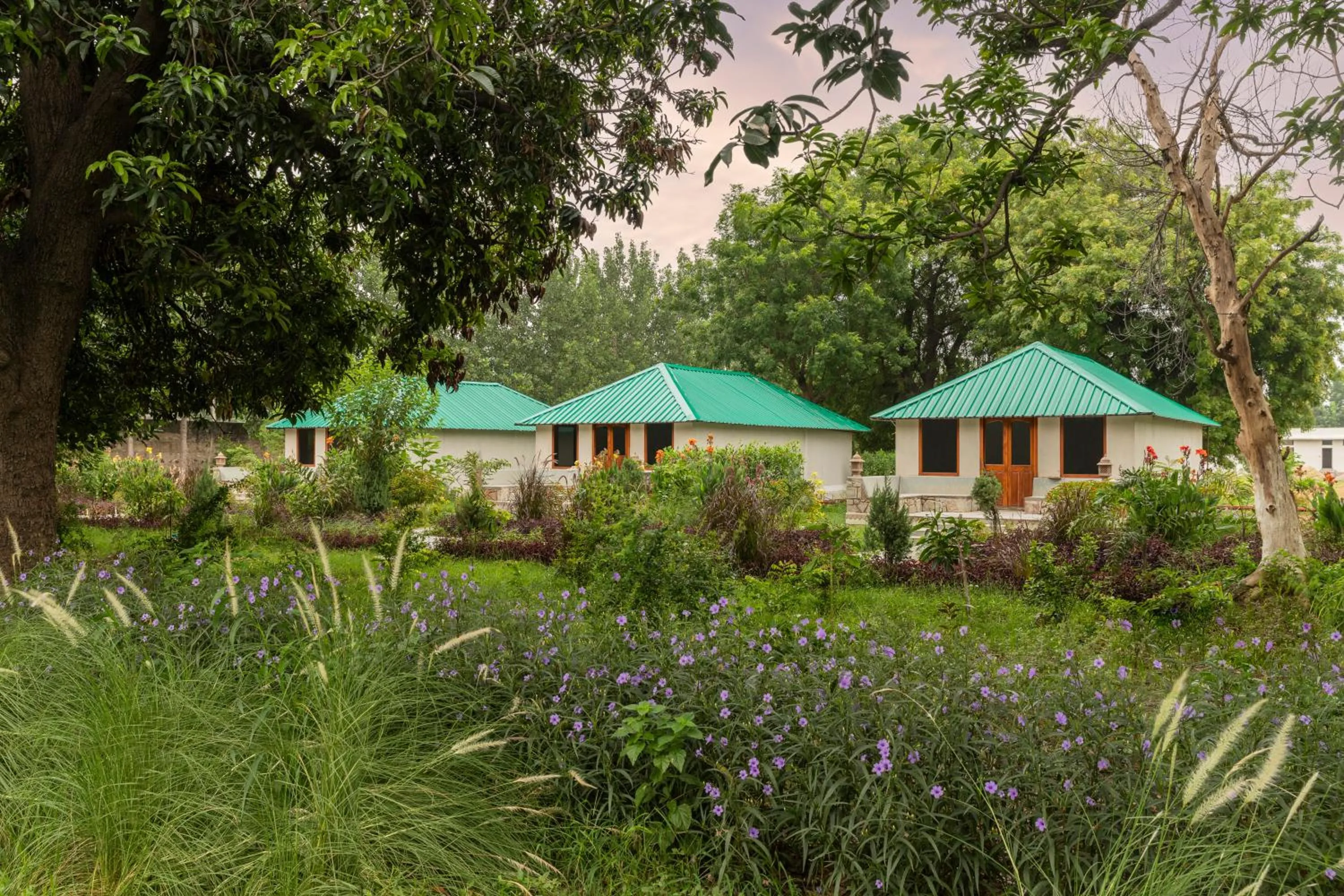 Property building in ZANA Luxury Forest Resort, Ranthambore