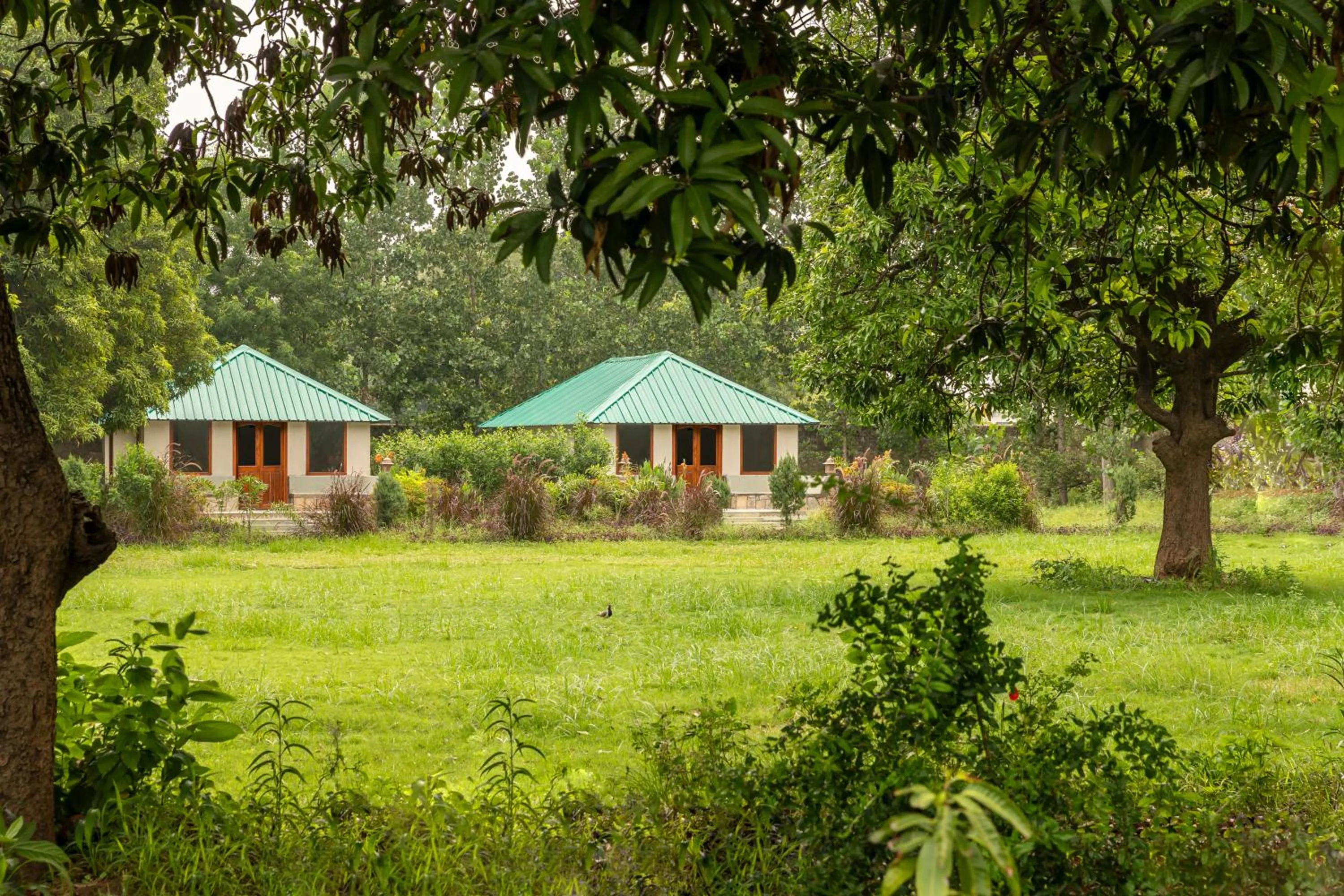 Property building in ZANA Luxury Forest Resort, Ranthambore