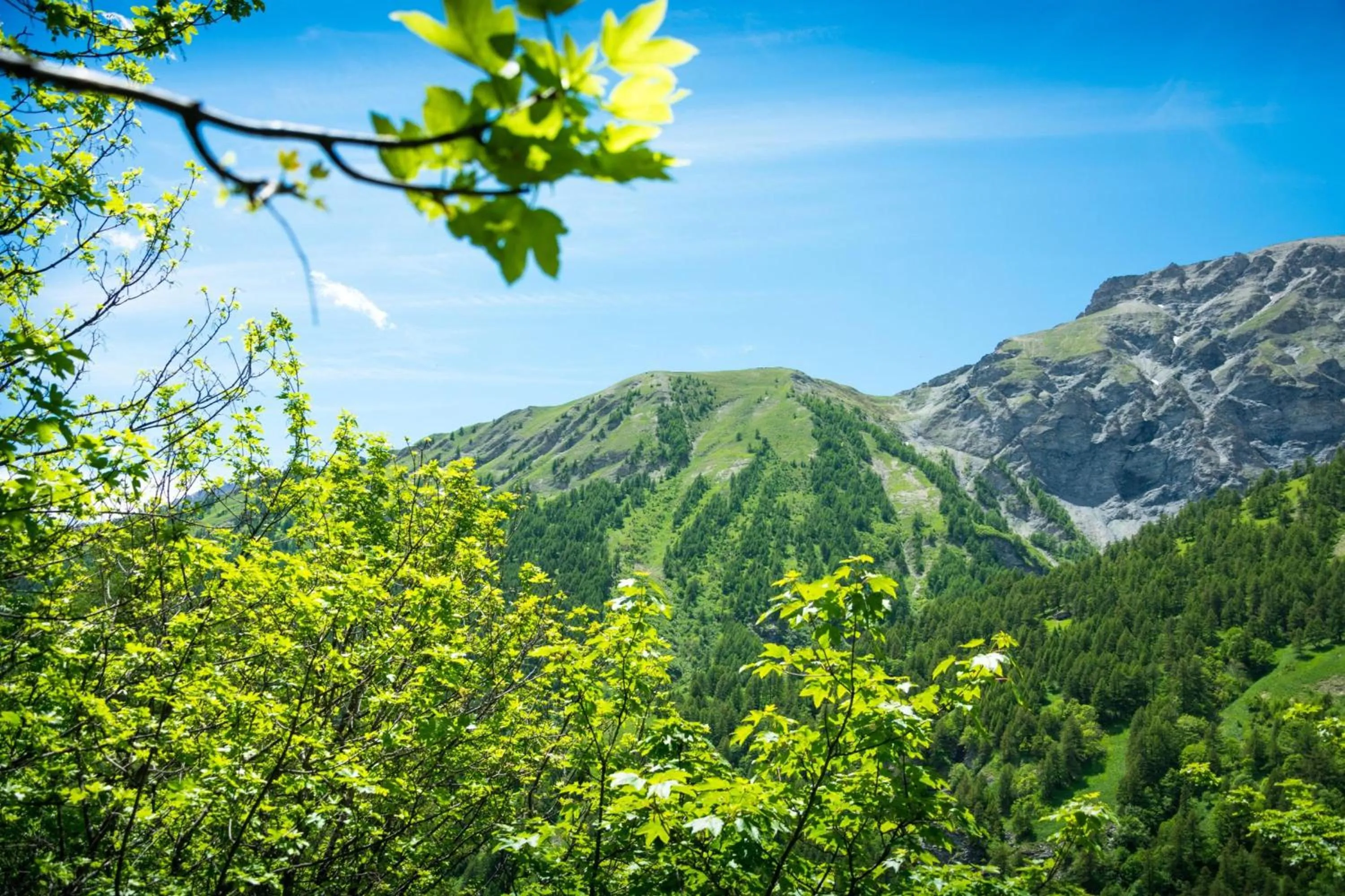 Cozy Nest In Bardonecchia - Happy Rentals