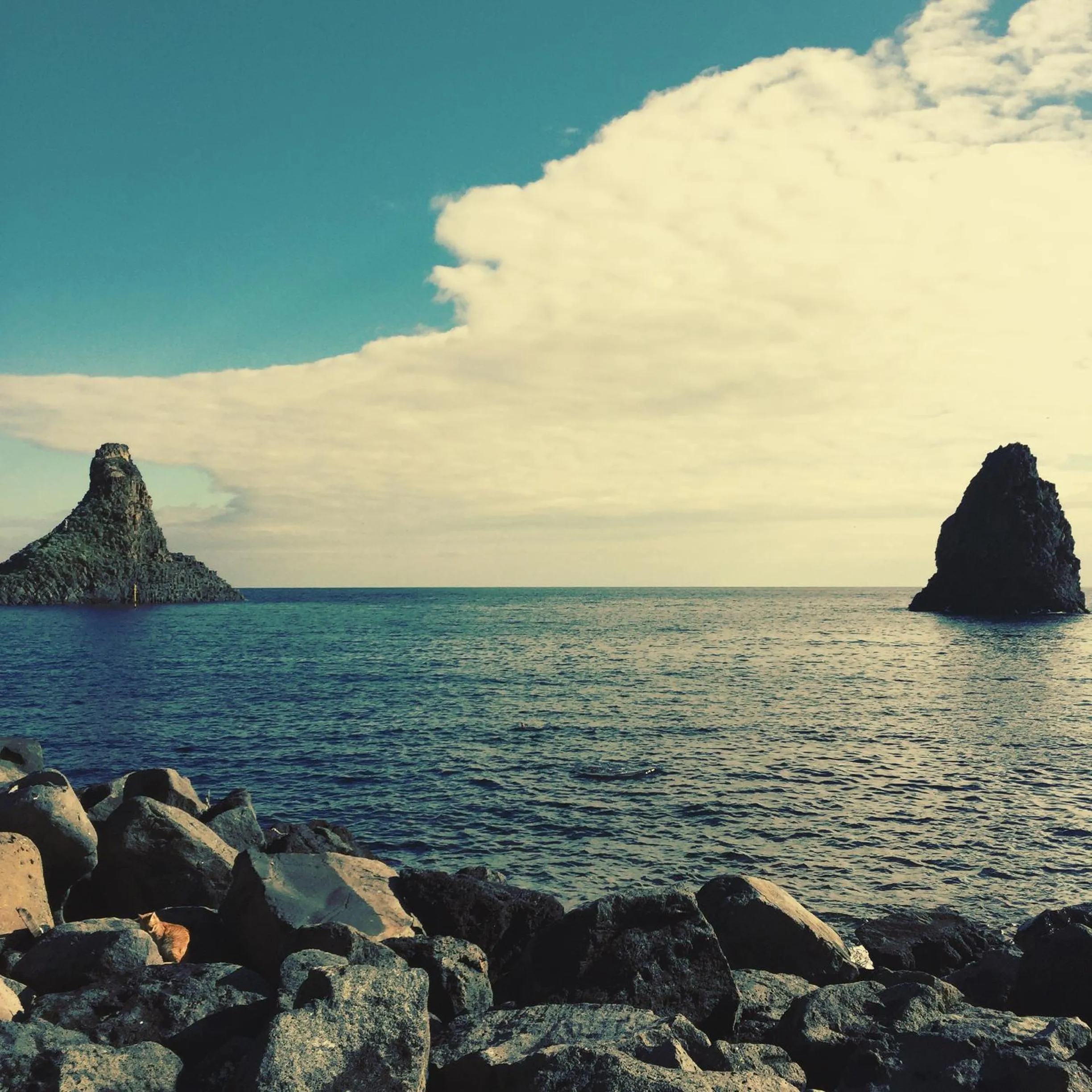 Nearby landmark in La Scivola Rooms