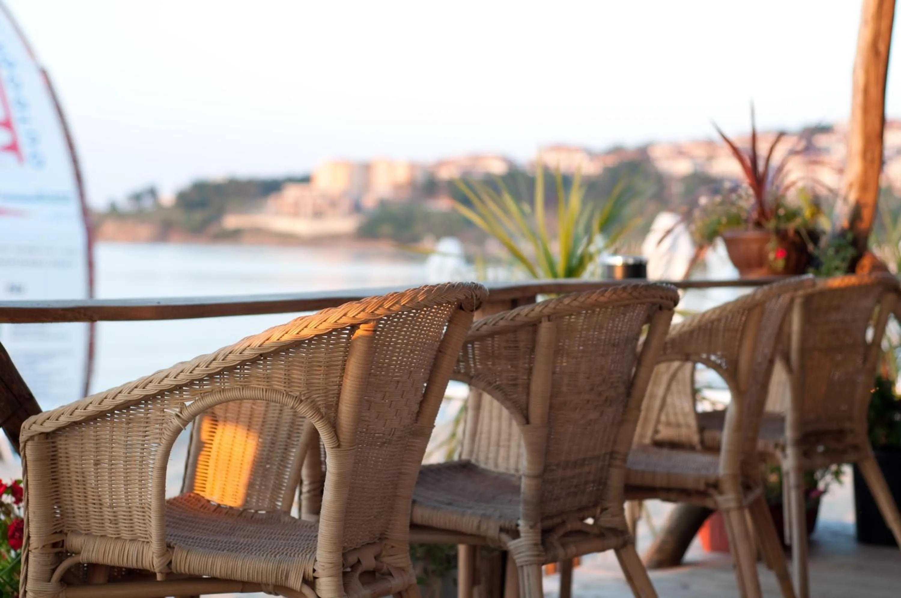 View (from property/room) in Blue Orange Beach Resort