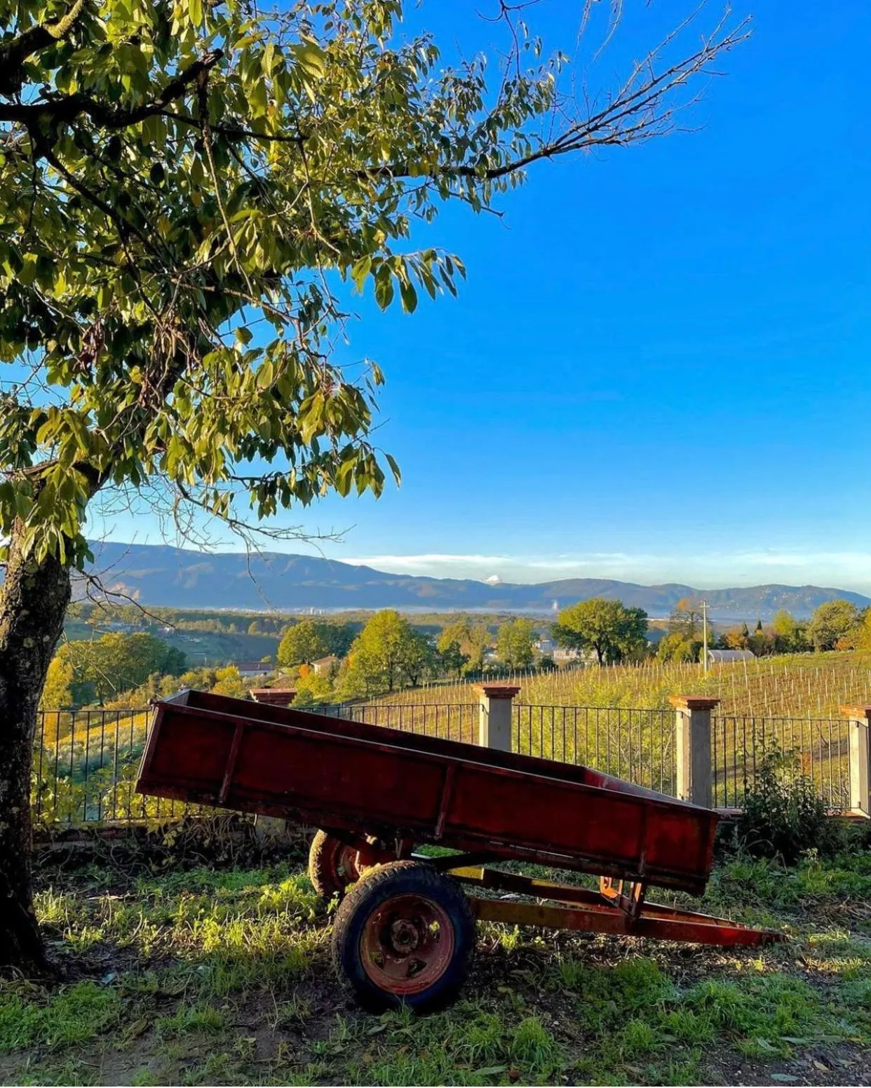 Day in Donna Vittori - Borgo Agricolo