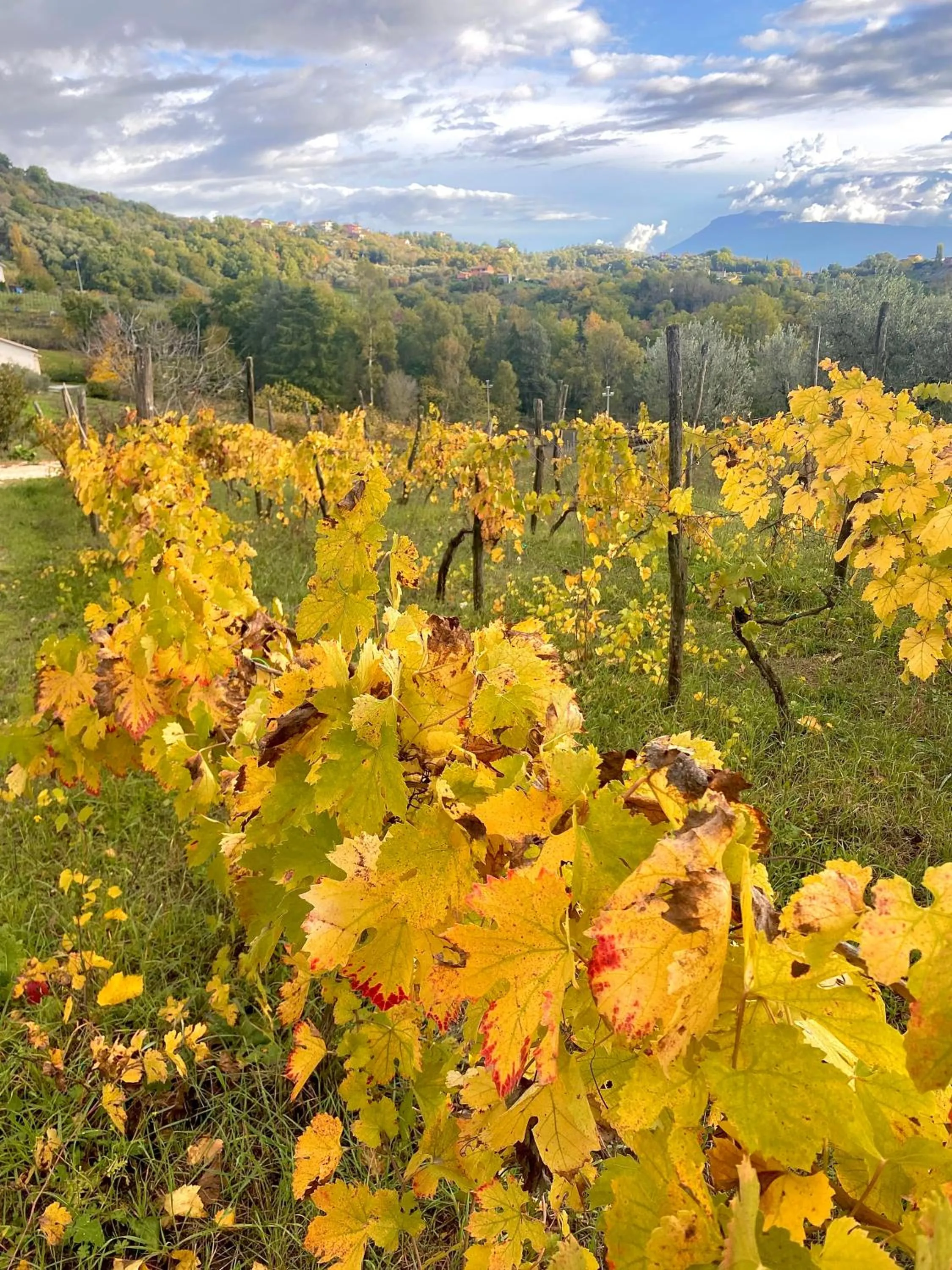 Day in Donna Vittori - Borgo Agricolo