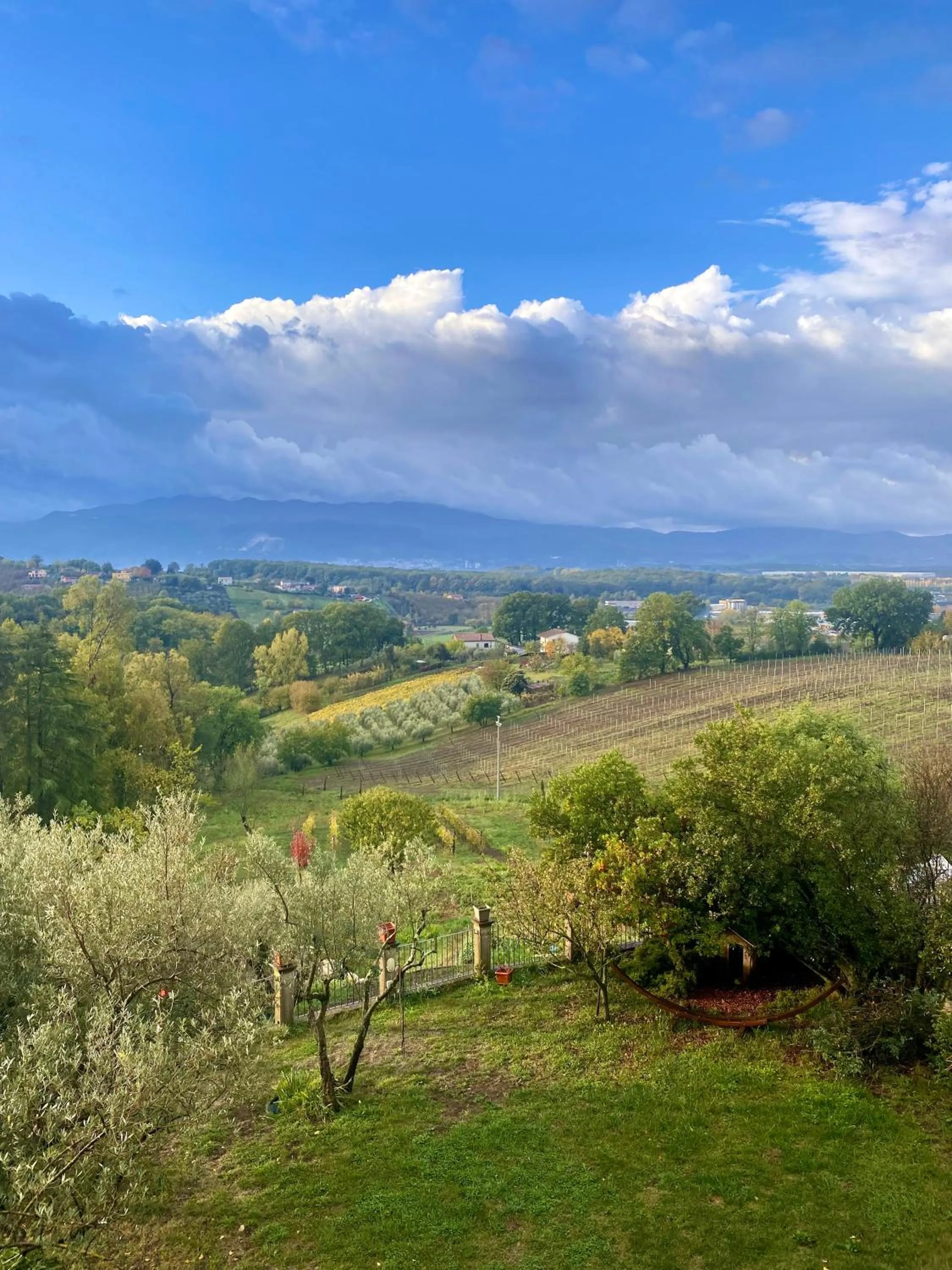 Day in Donna Vittori - Borgo Agricolo