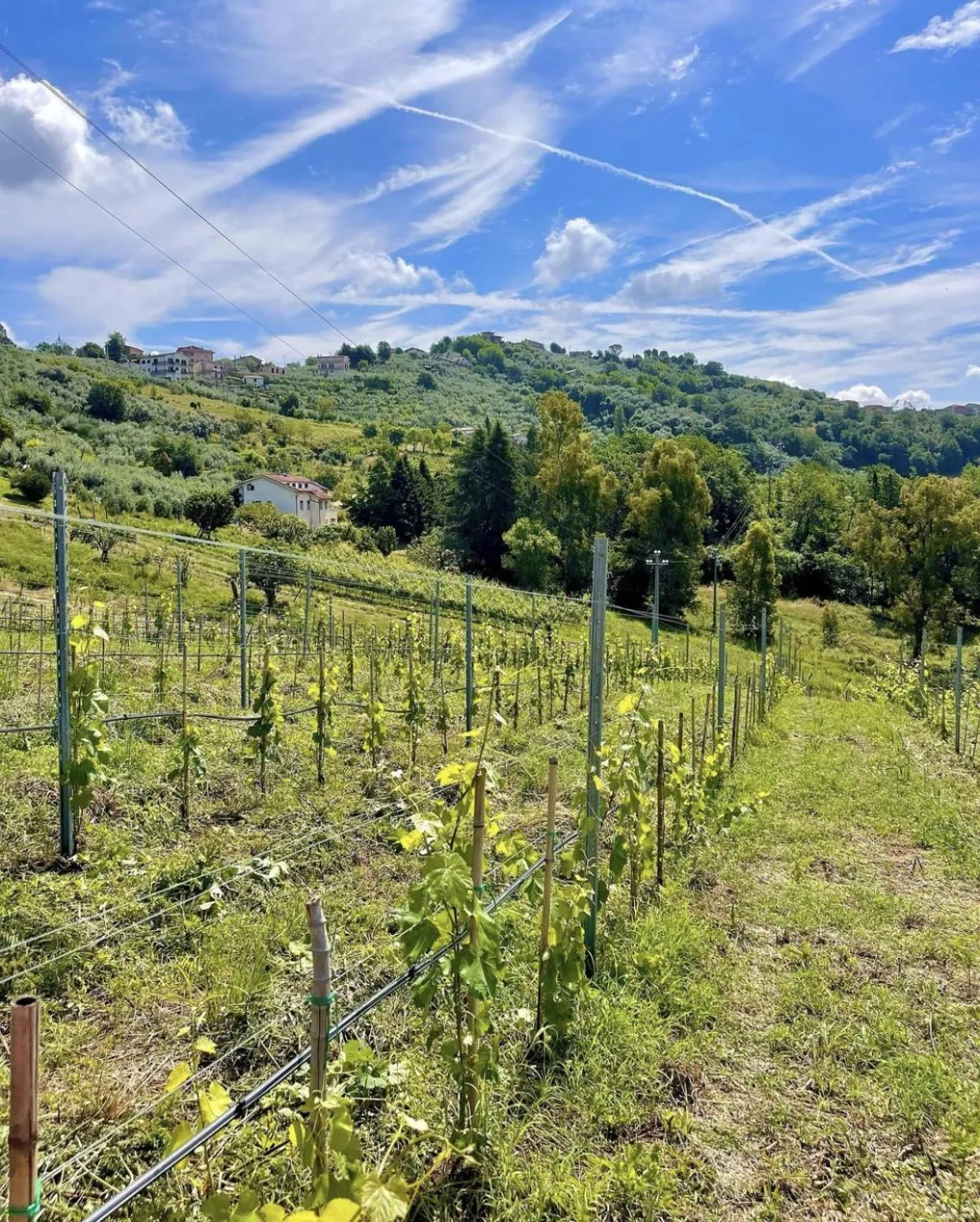Natural landscape in Donna Vittori - Borgo Agricolo