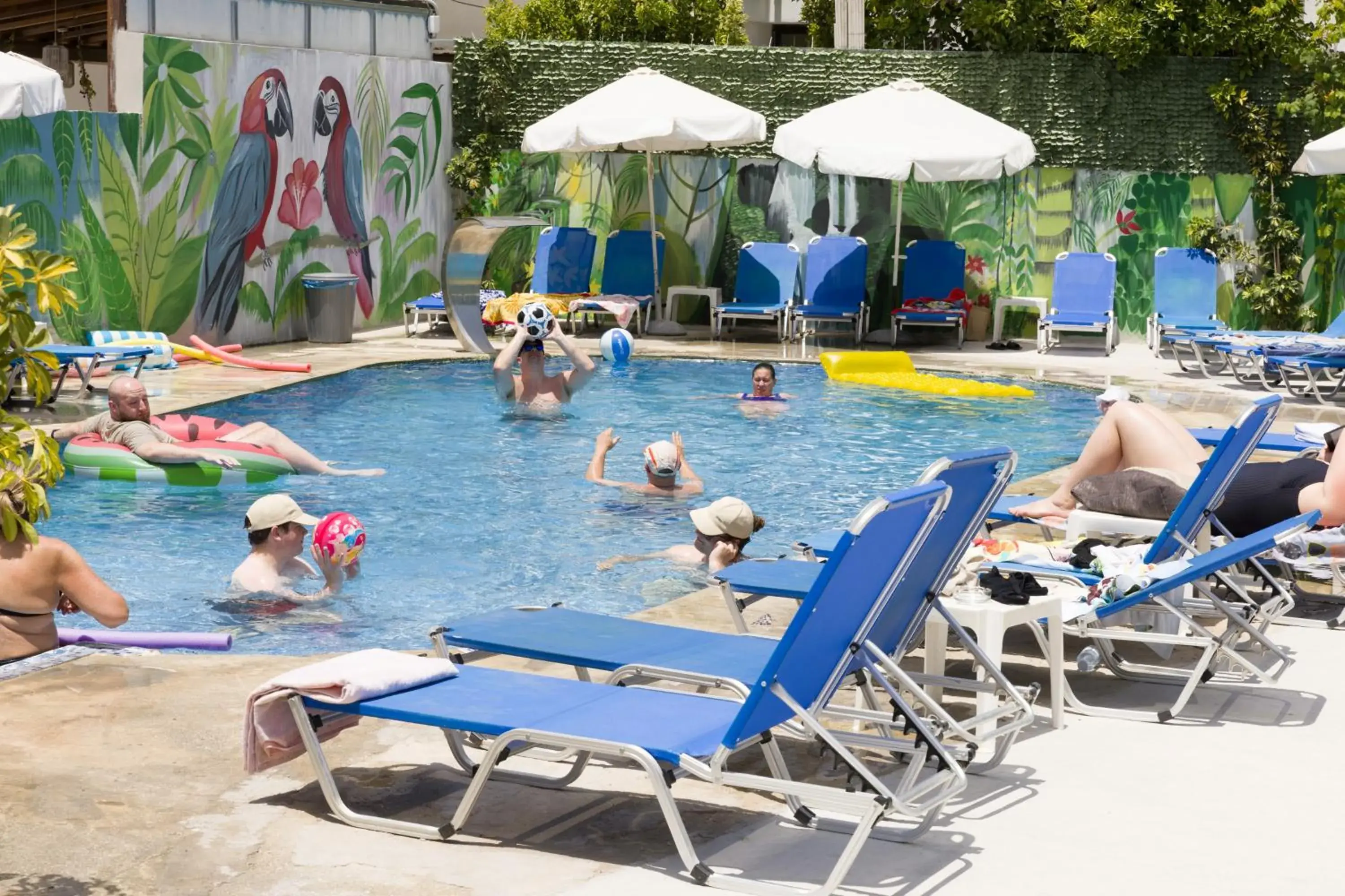 Swimming pool in Alecos Hotel Apartments Swimming pool in Alecos Hotel Apartments
