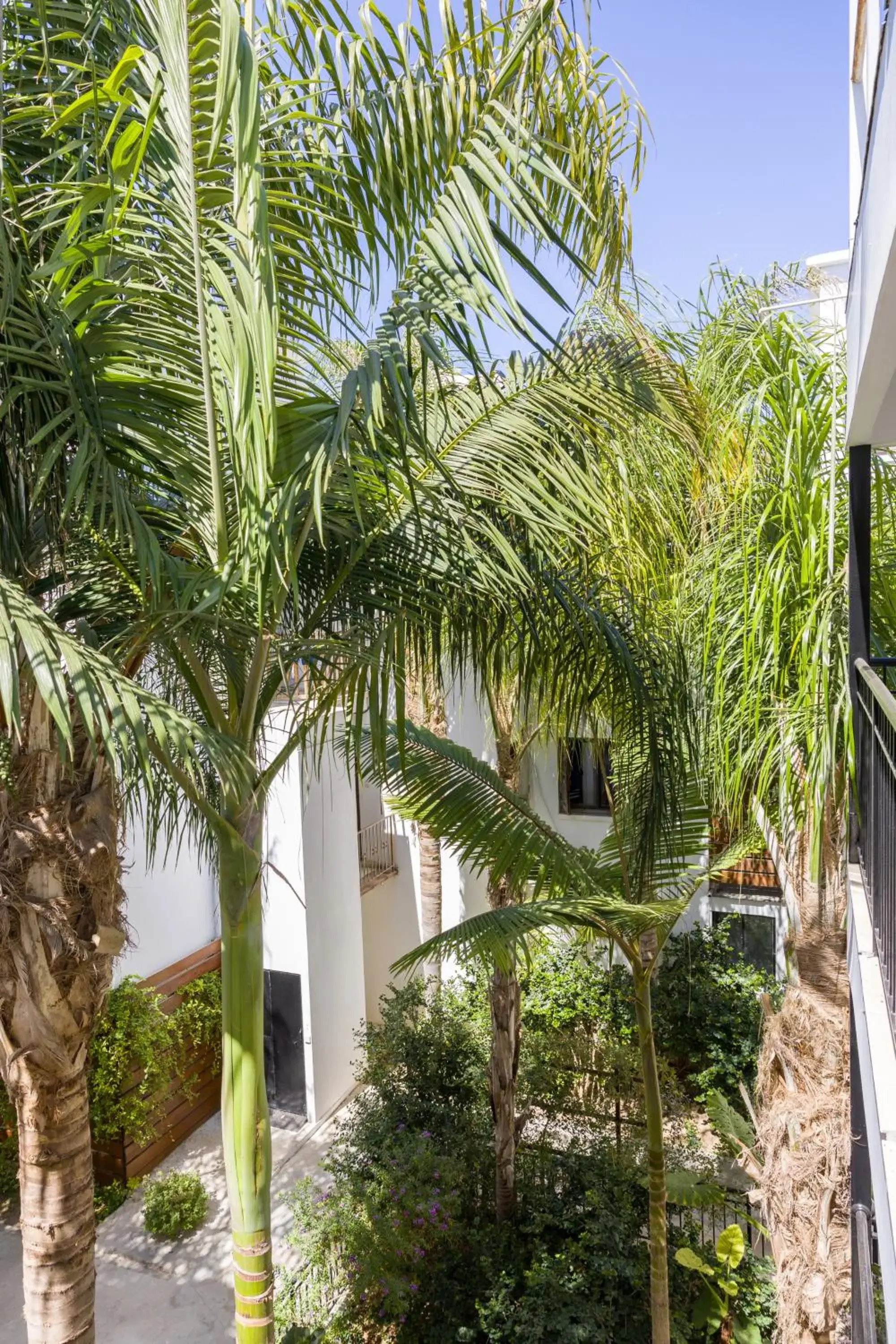 Property building in Alecos Hotel Apartments Property building in Alecos Hotel Apartments