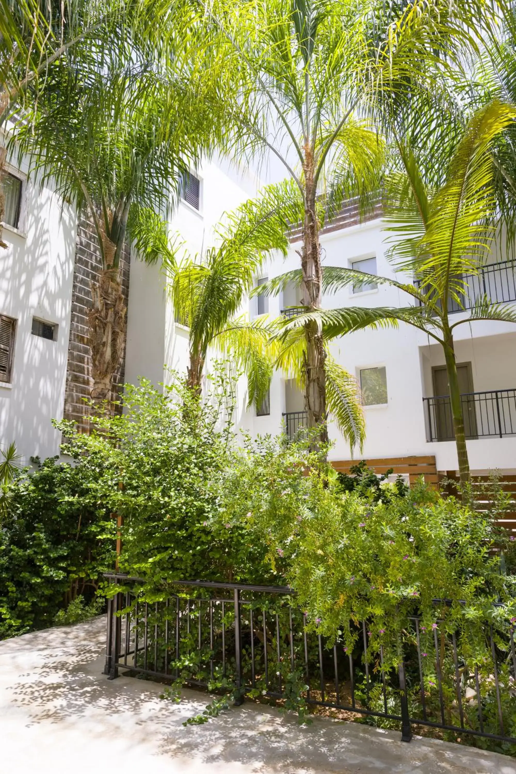 Garden view in Alecos Hotel Apartments Garden view in Alecos Hotel Apartments