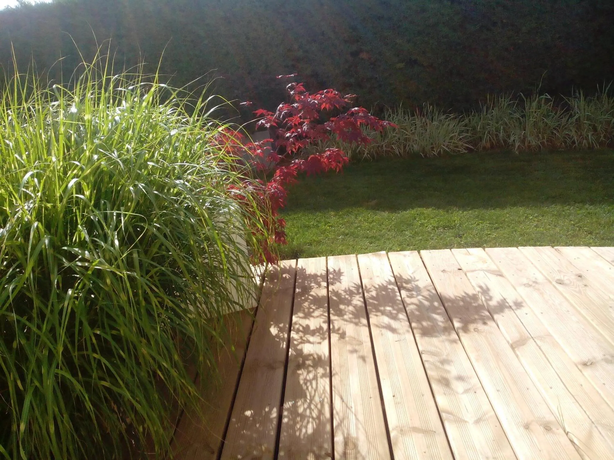 Garden view in La Bastide des Mûriers