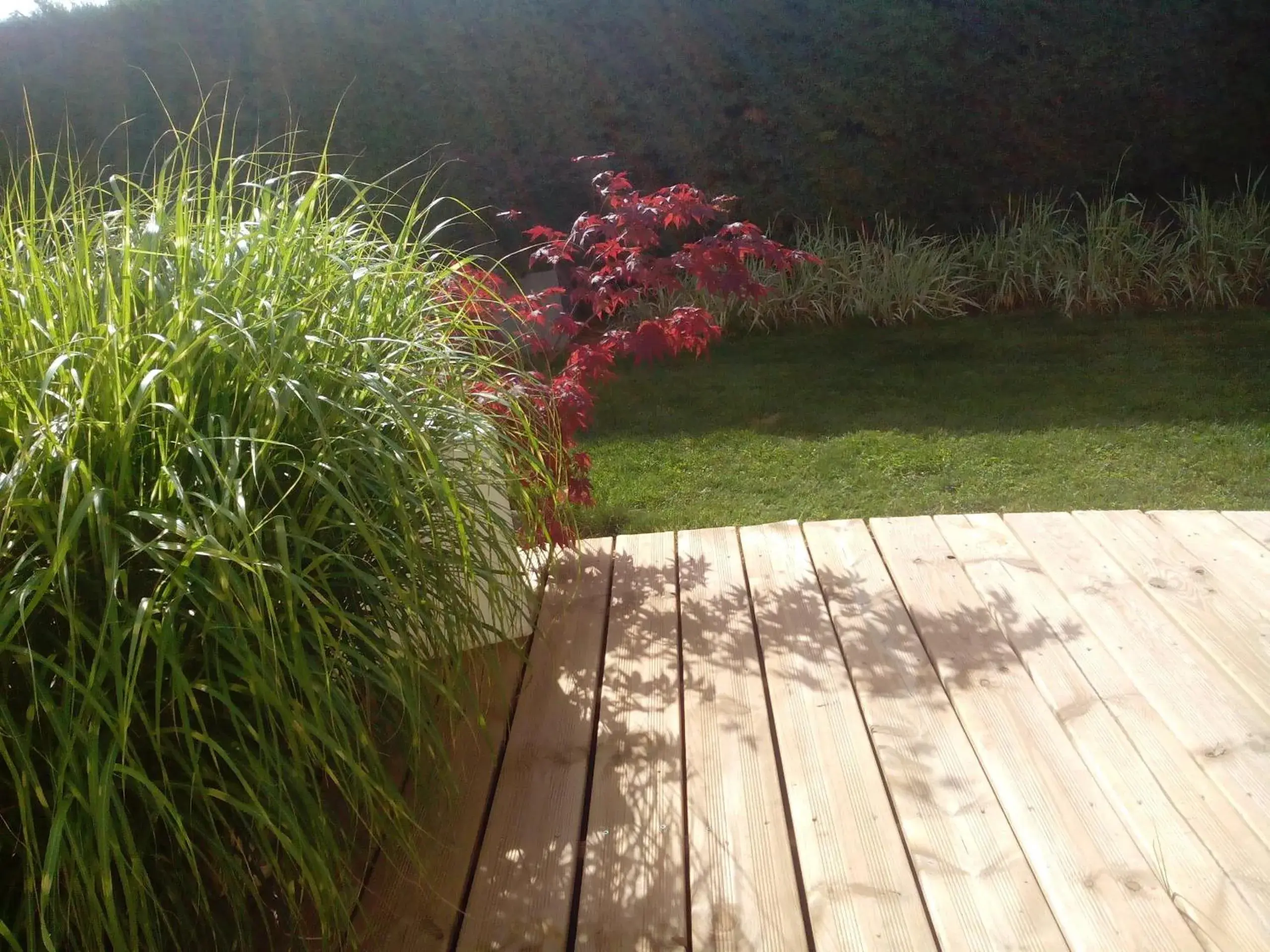 Garden view in La Bastide des Mûriers Garden view in La Bastide des Mûriers