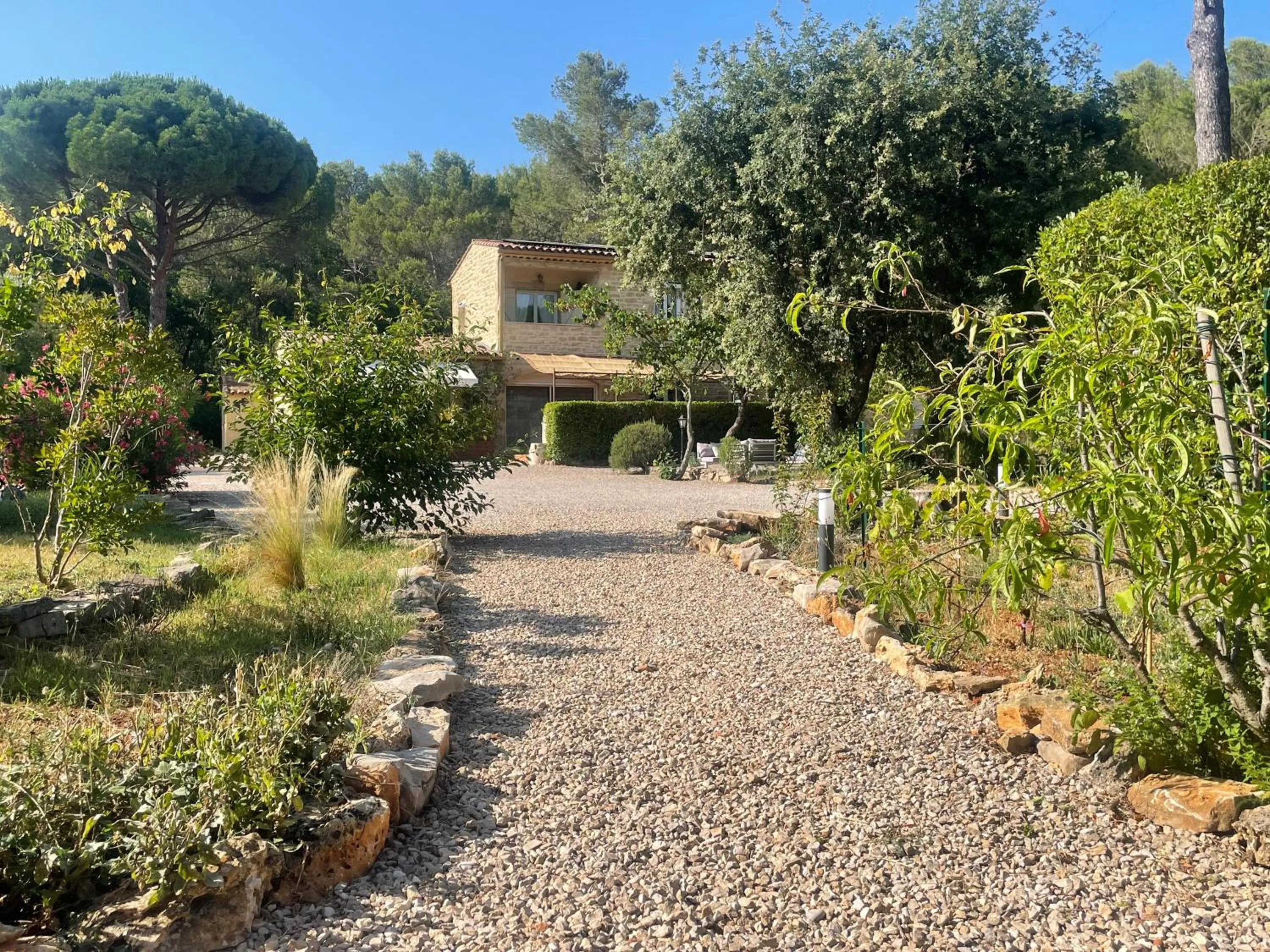 Garden in La maison de la Cigale