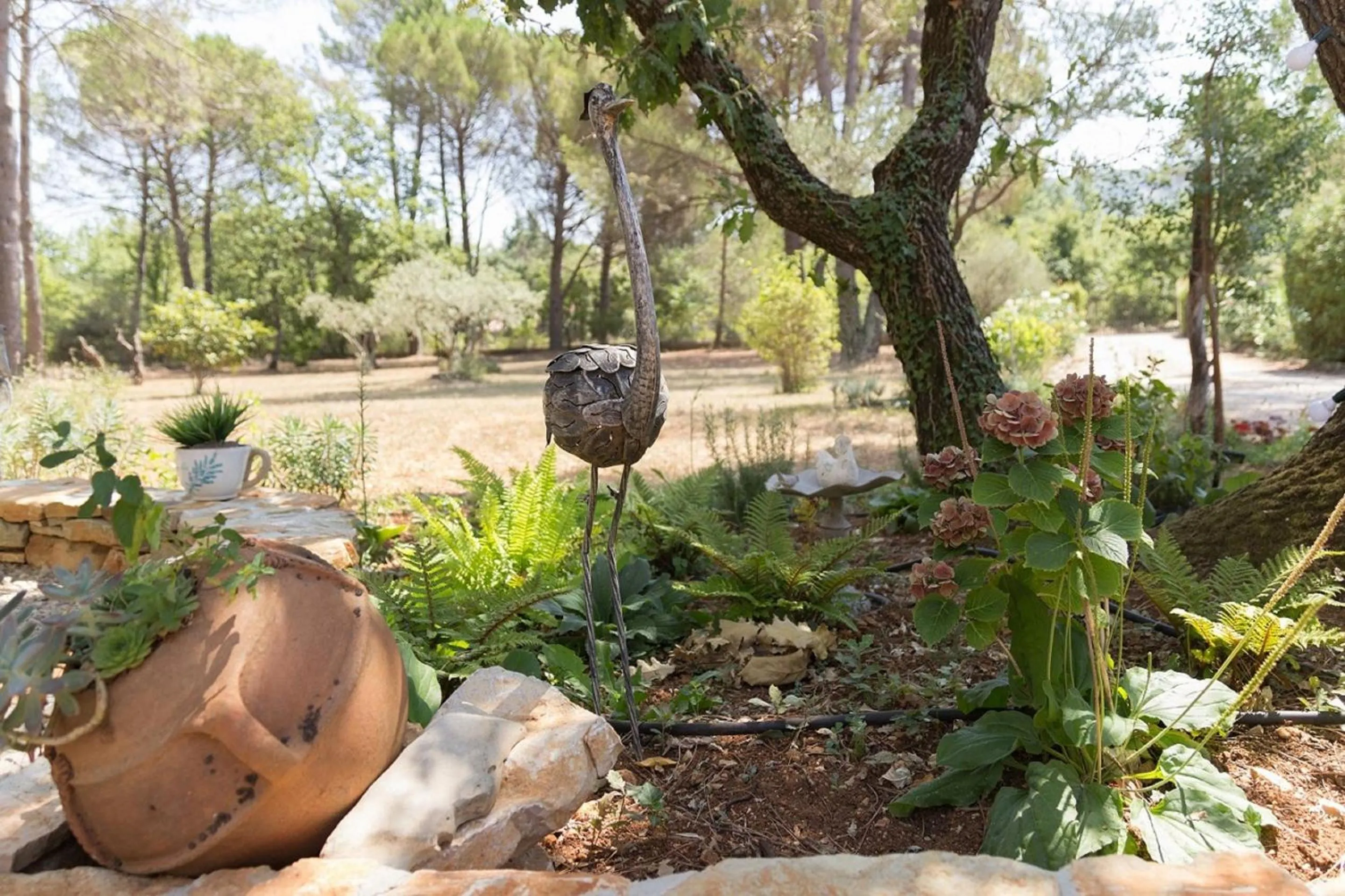 Spring in La maison de la Cigale