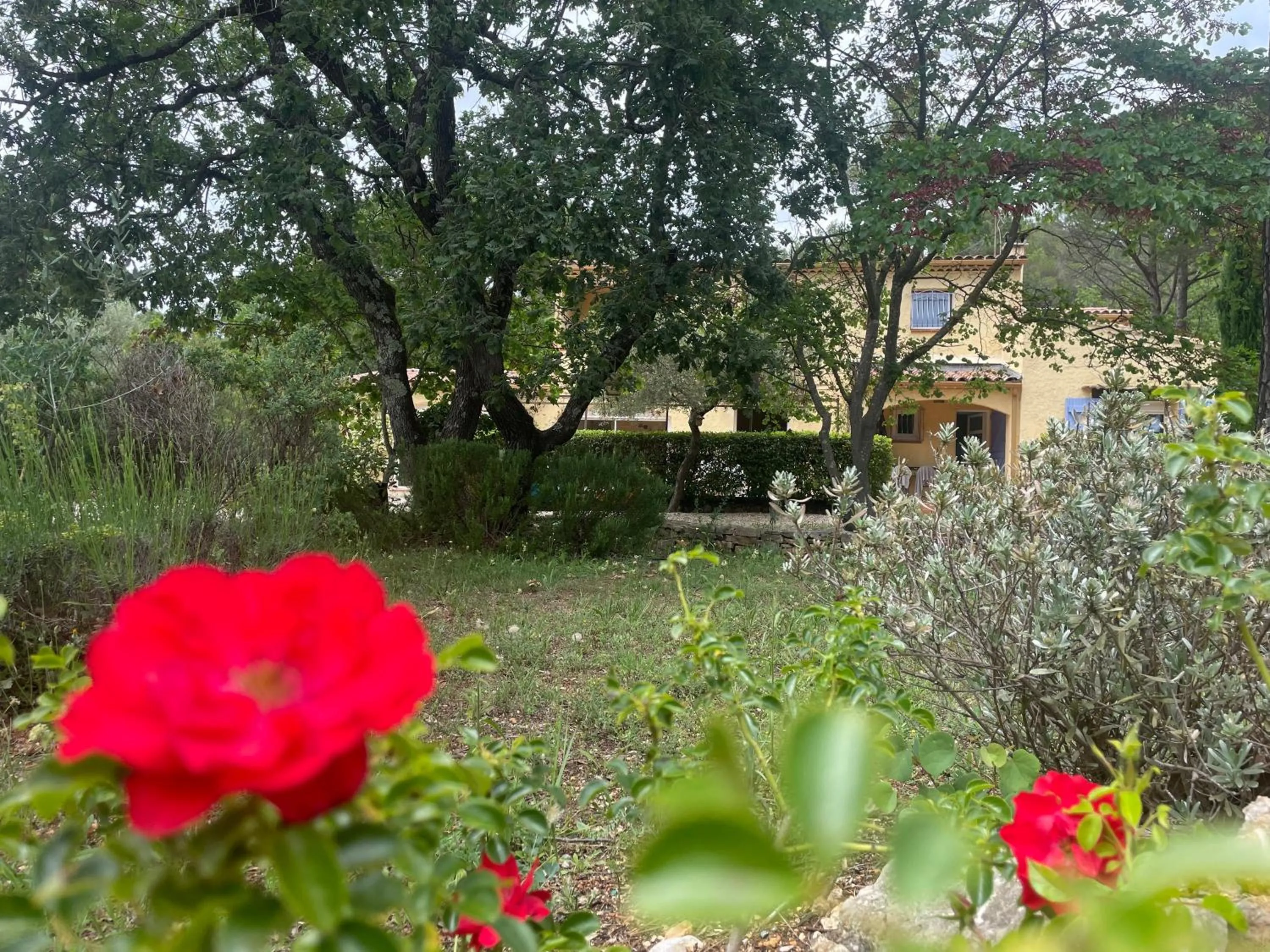 Spring in La maison de la Cigale