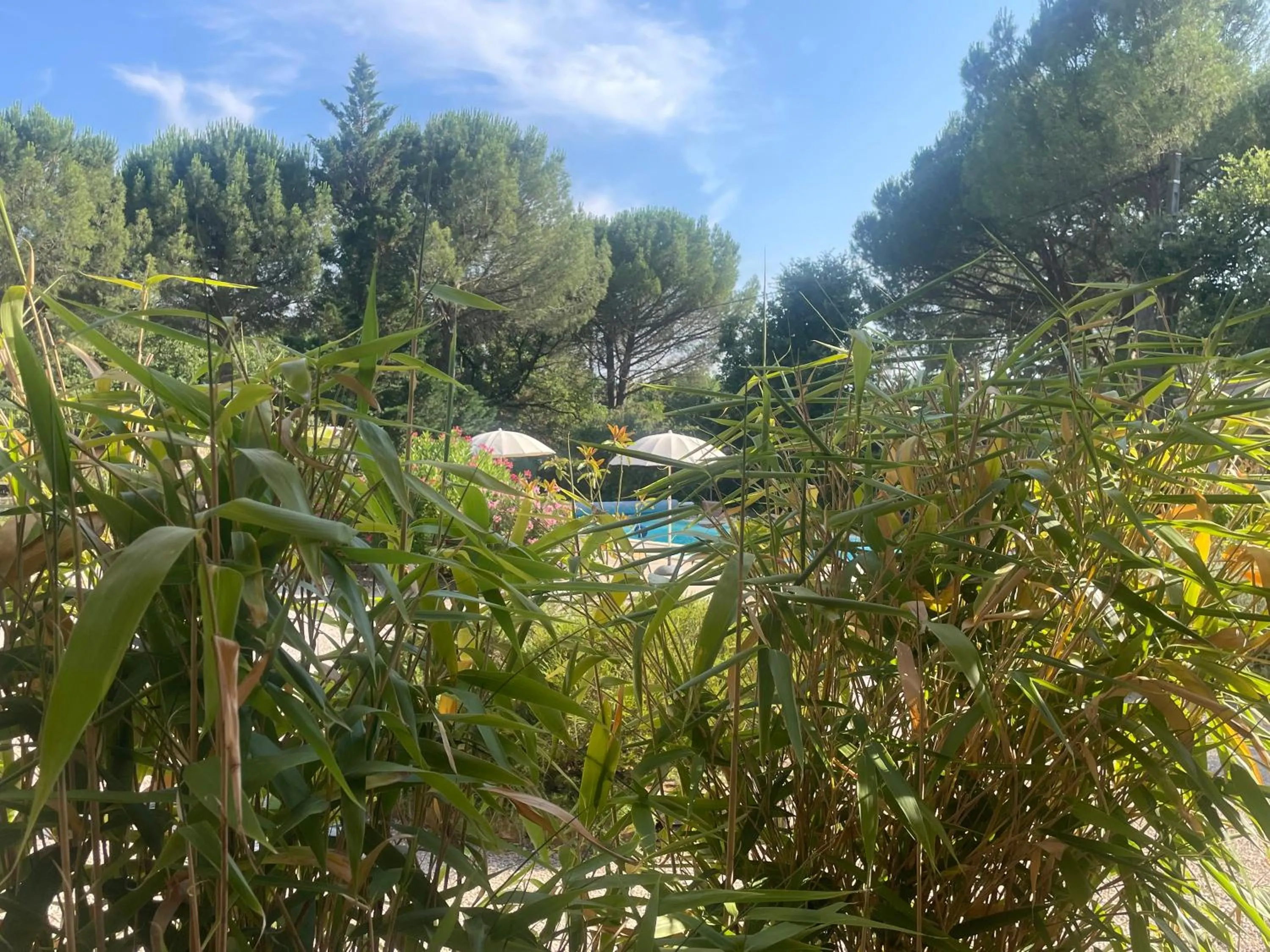 Patio in La maison de la Cigale