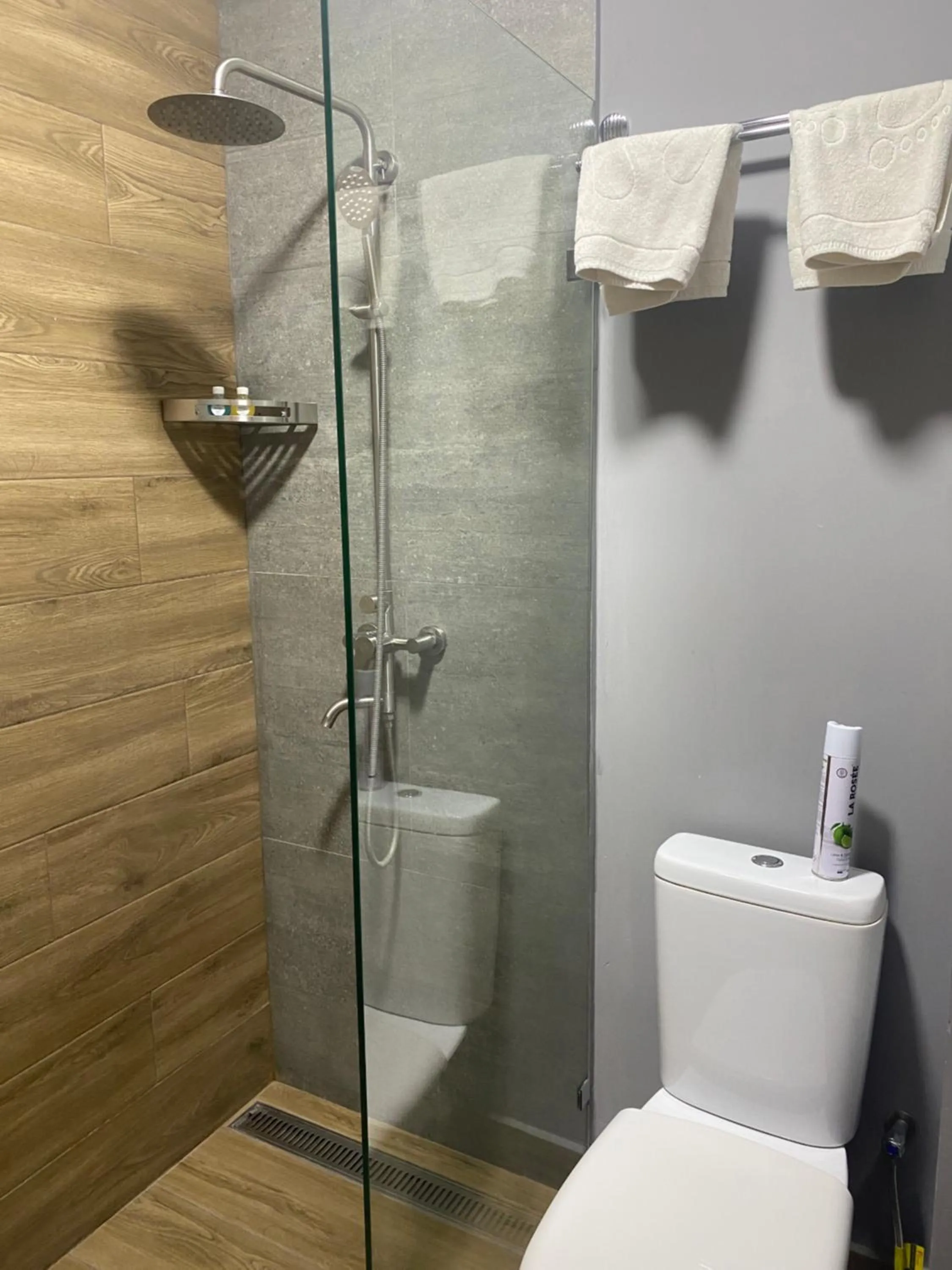 Shower in Art Plaza Hotel