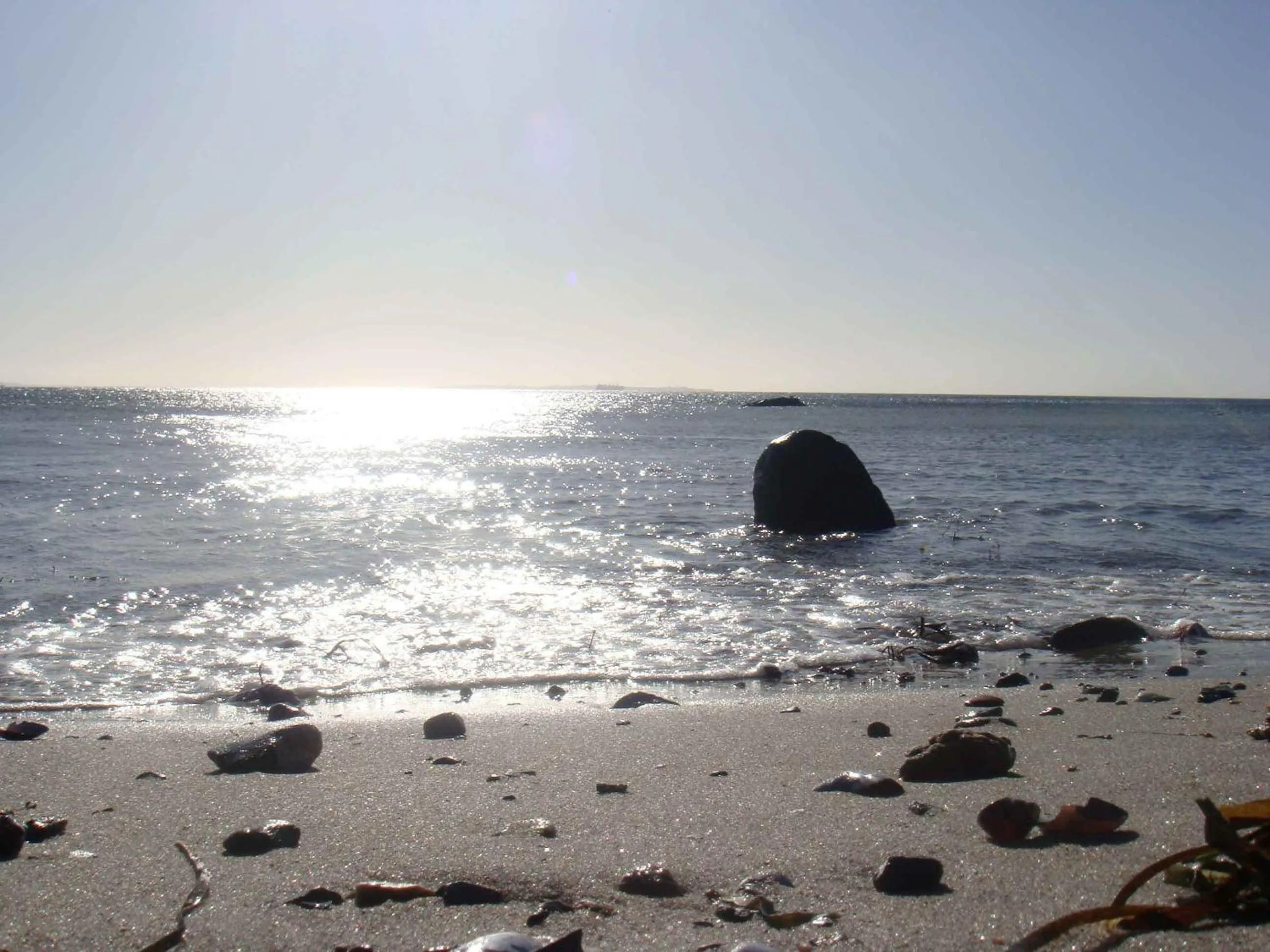 Natural landscape in Hotel Villa Brinkly