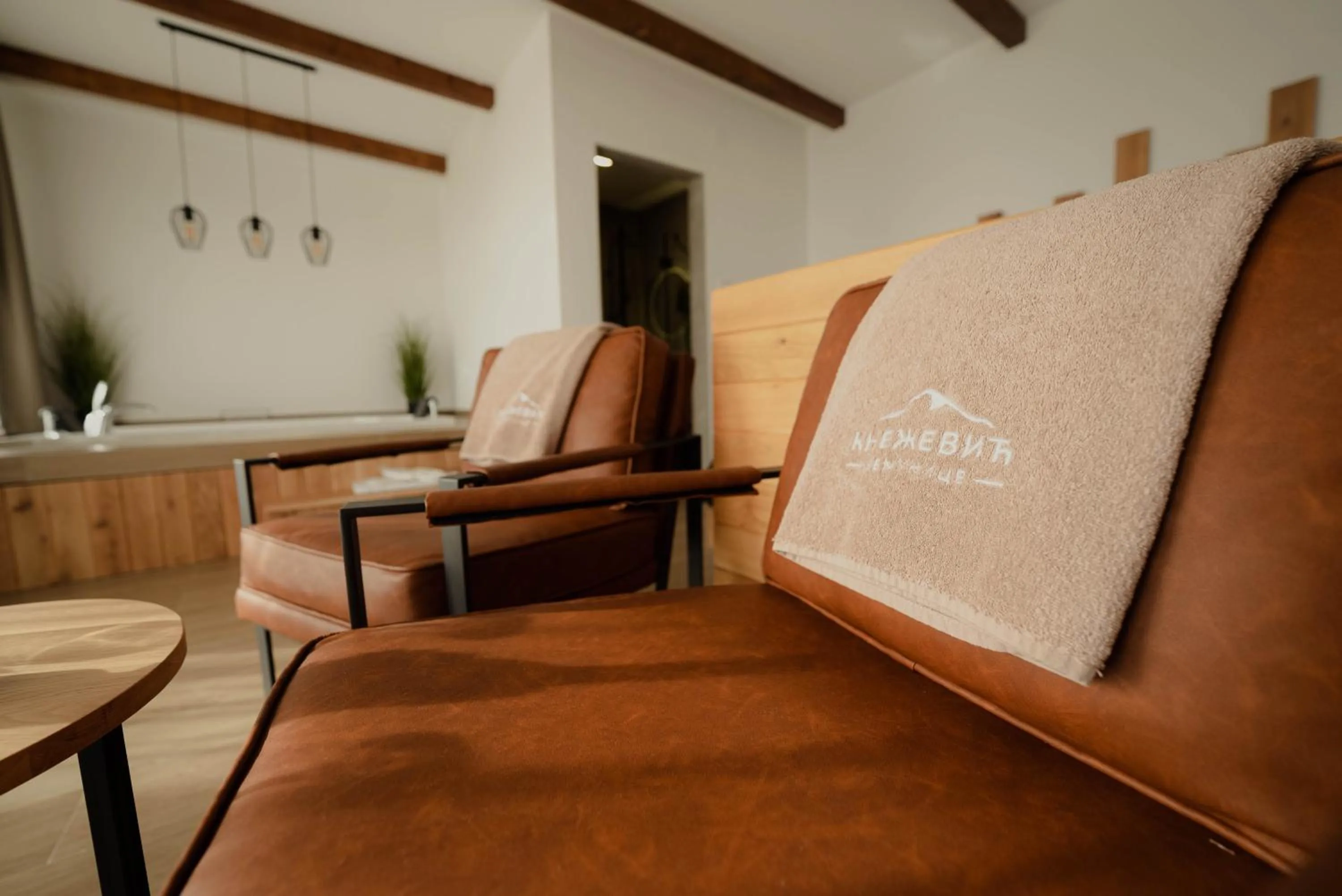 Living room in Zemunice Knezevic