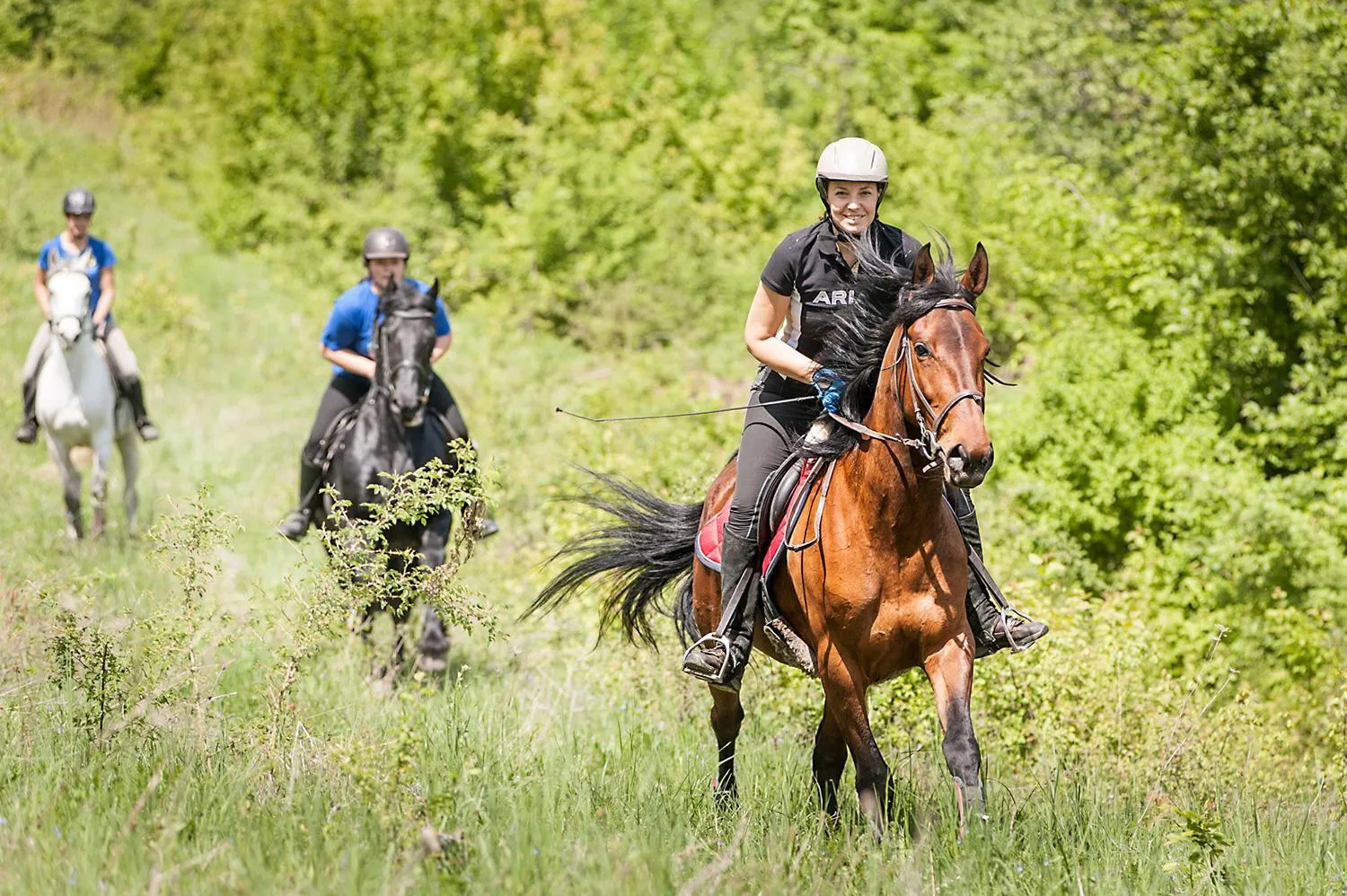 Activities in Zemunice Knezevic
