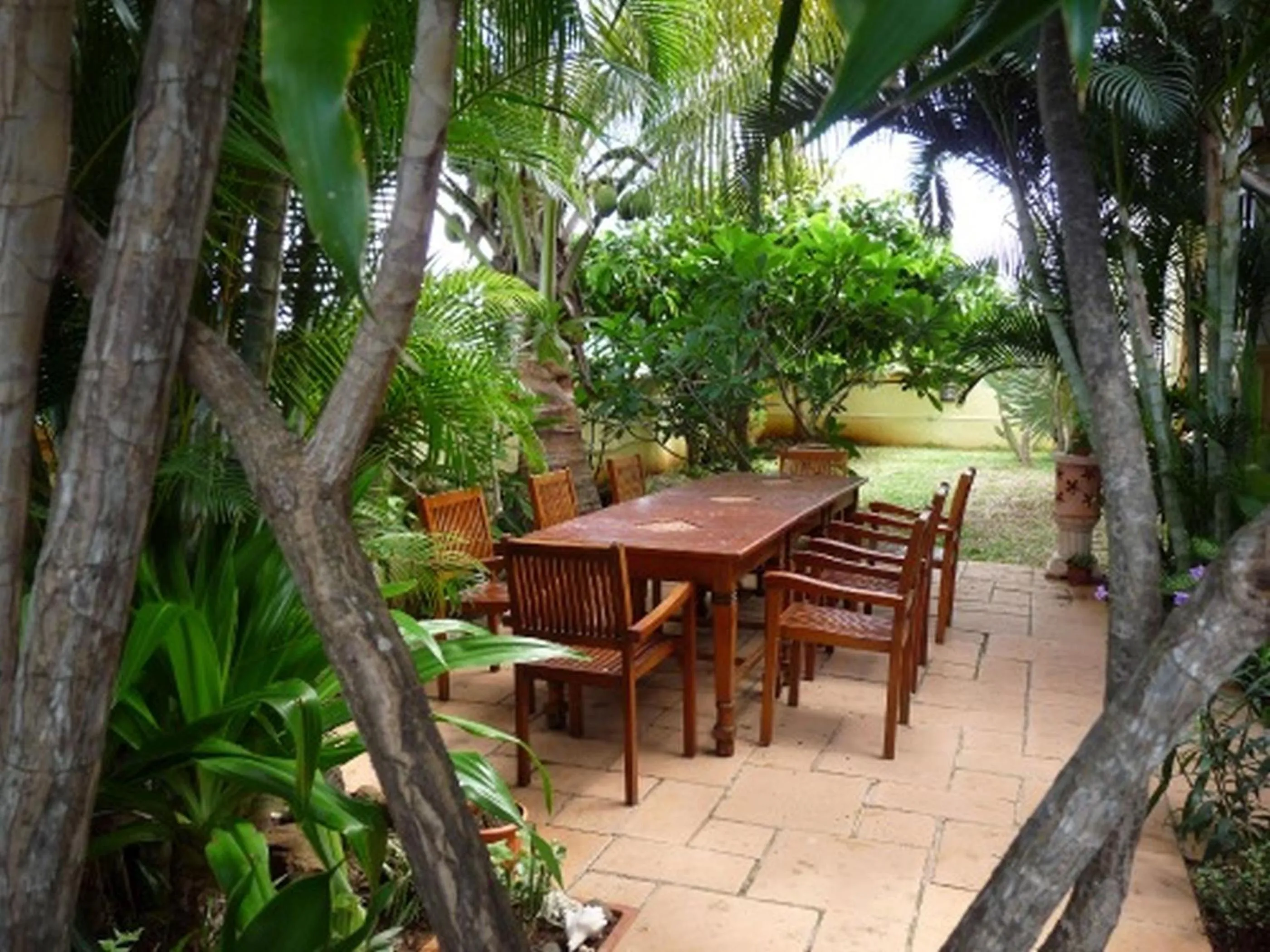 Garden in La Reine Creole