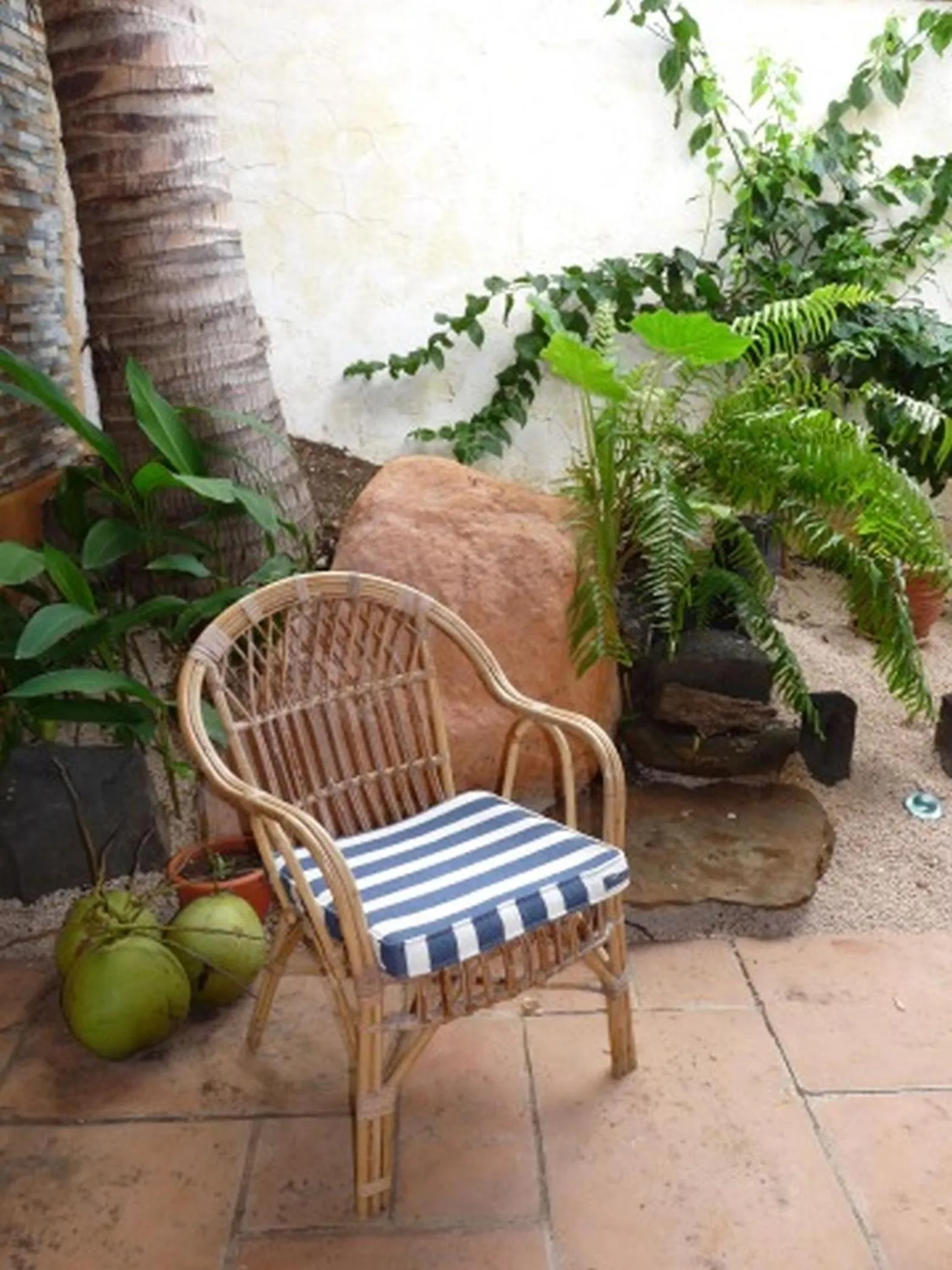 Garden in La Reine Creole