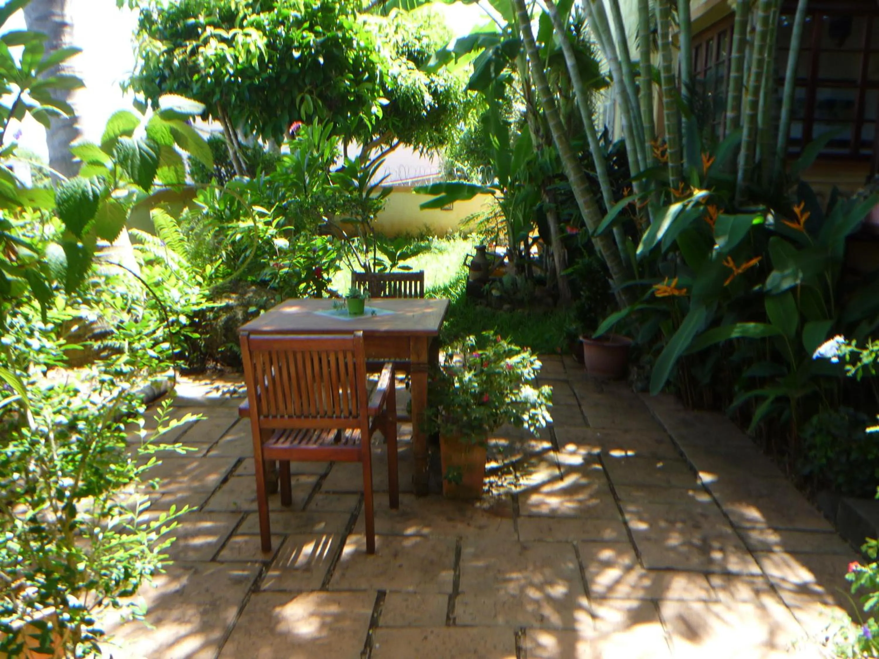 Garden in La Reine Creole