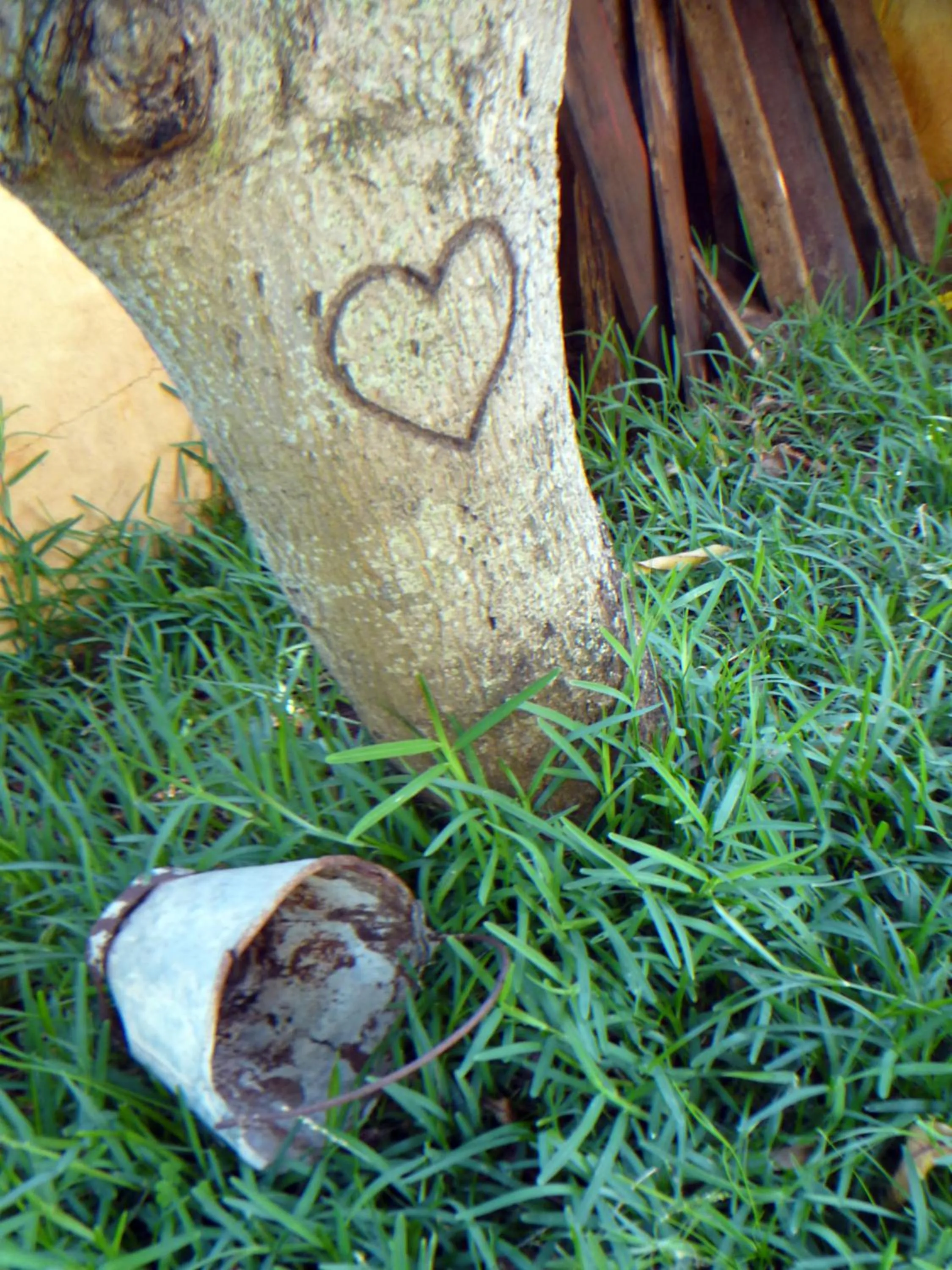 Garden in La Reine Creole