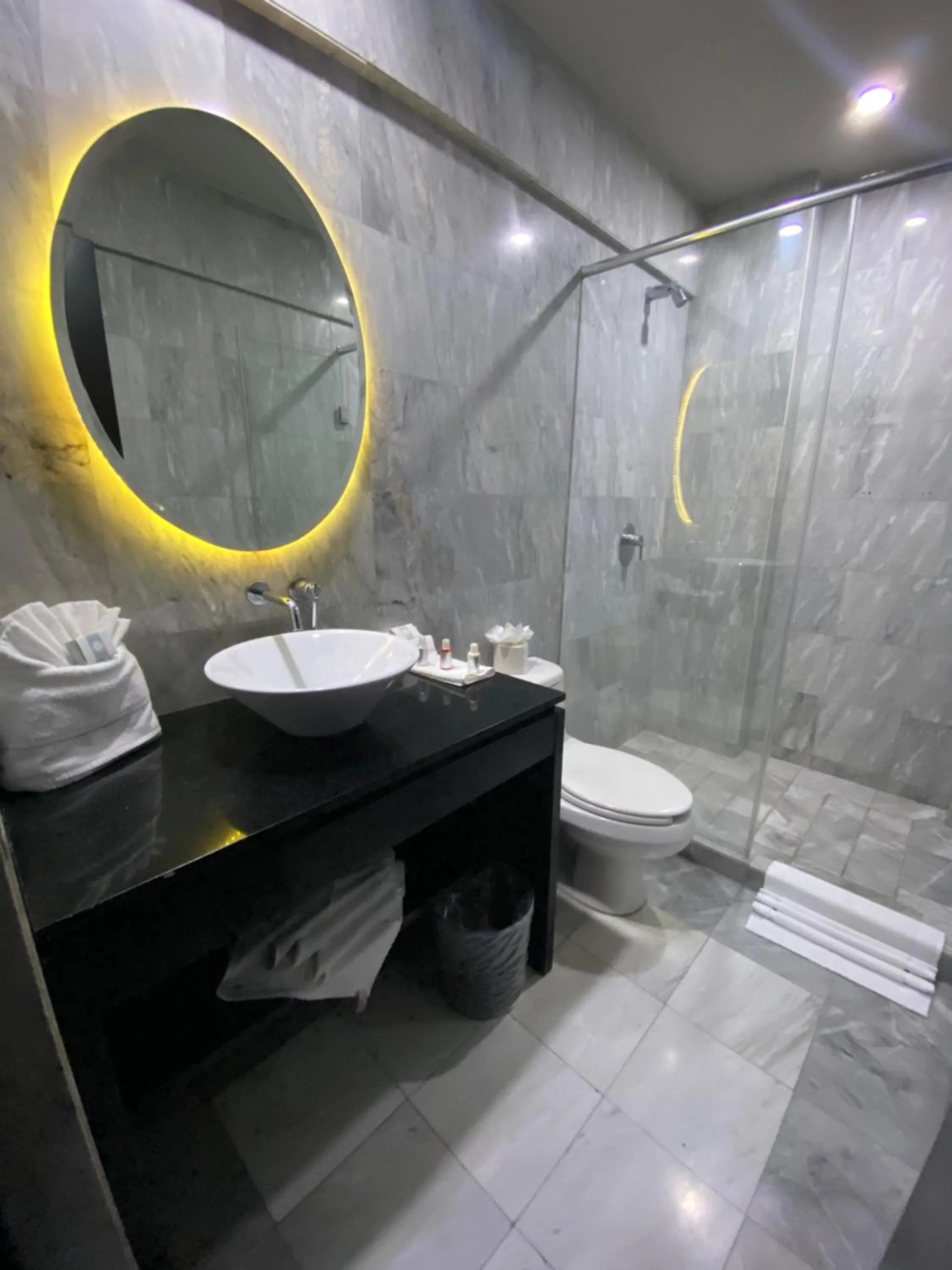 Shower in Suites Ganges