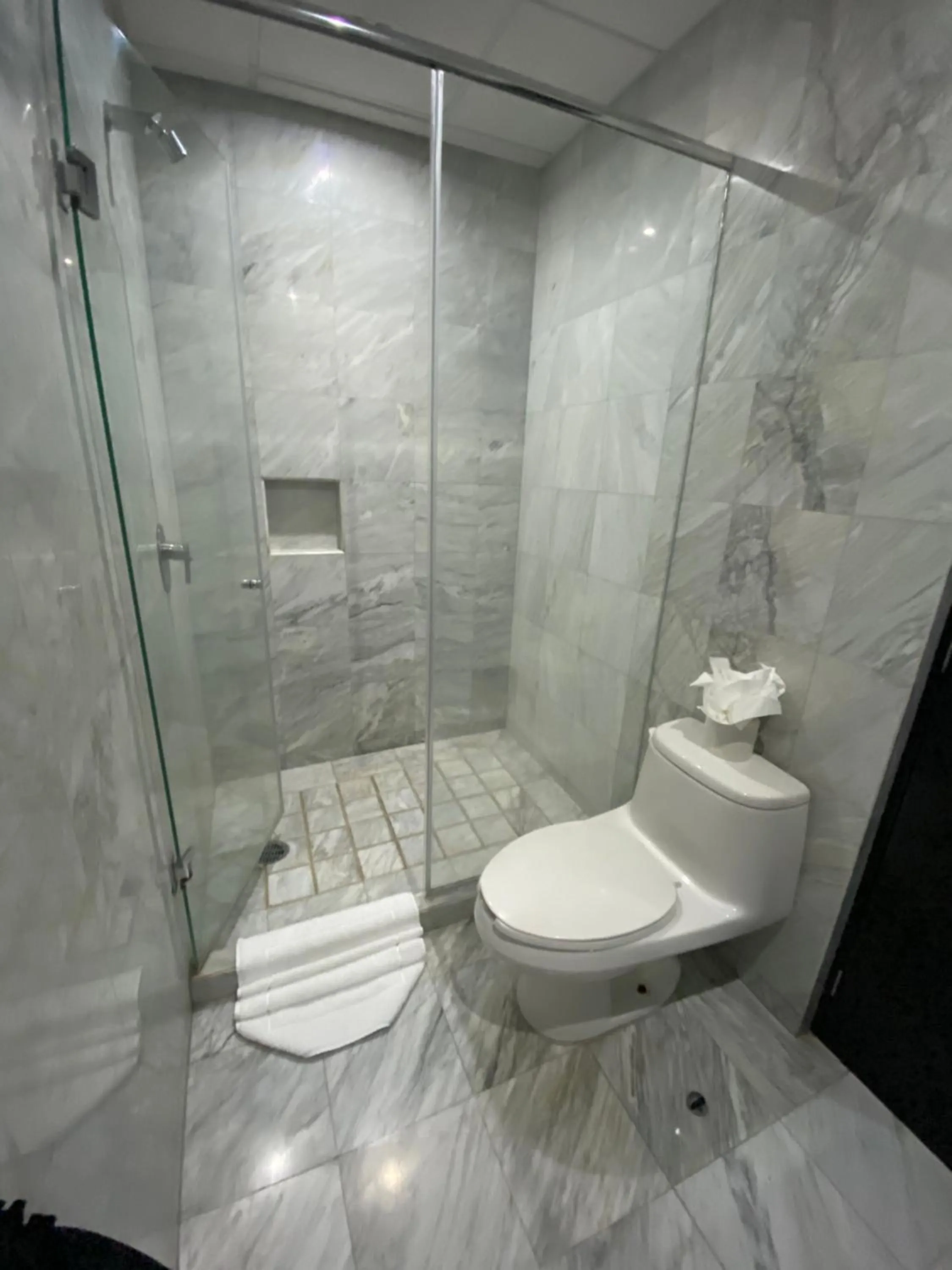 Shower in Suites Ganges