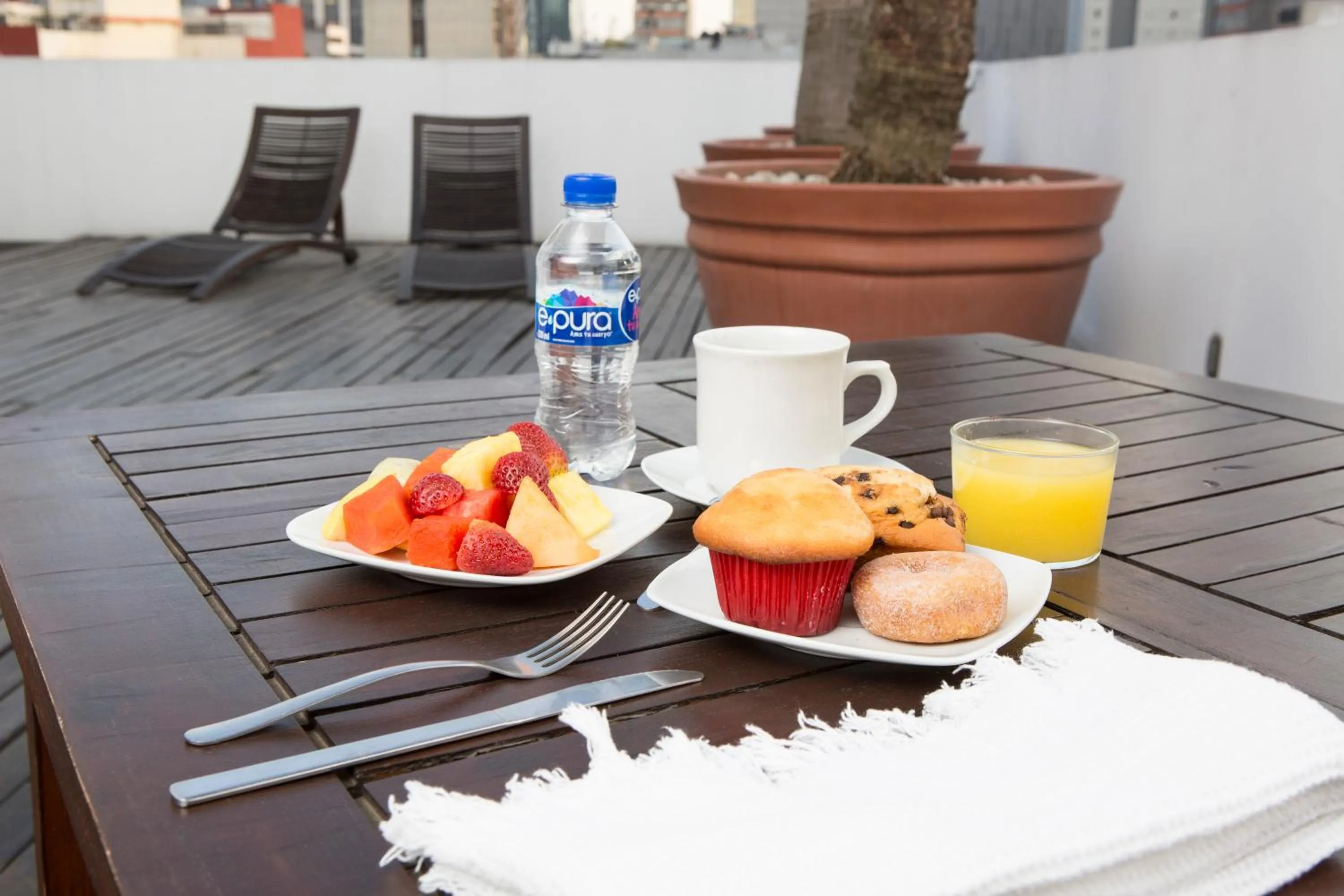 Balcony/Terrace in Suites Ganges