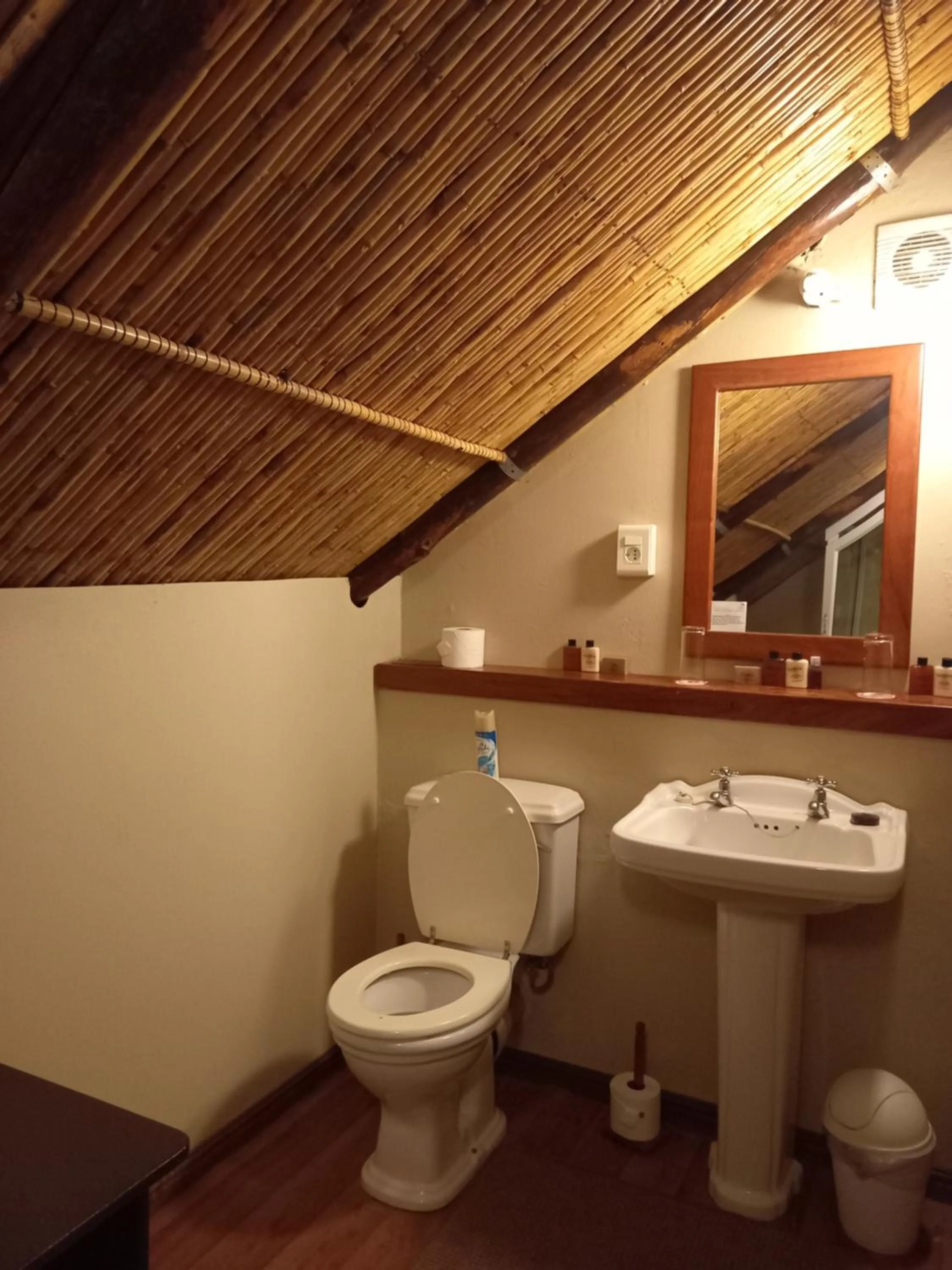Bathroom in Ongegund Lodge
