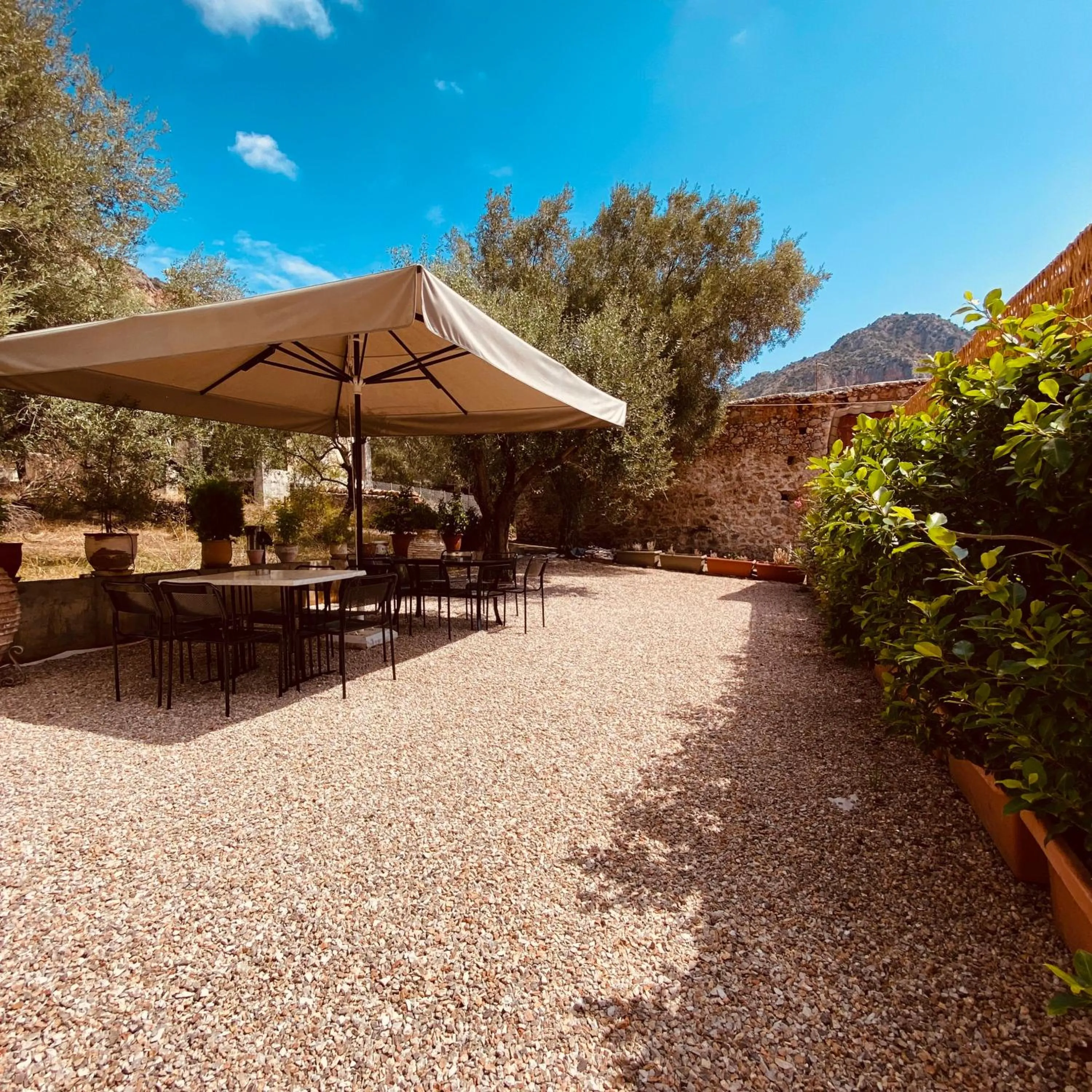 Garden in Kraka Apartments