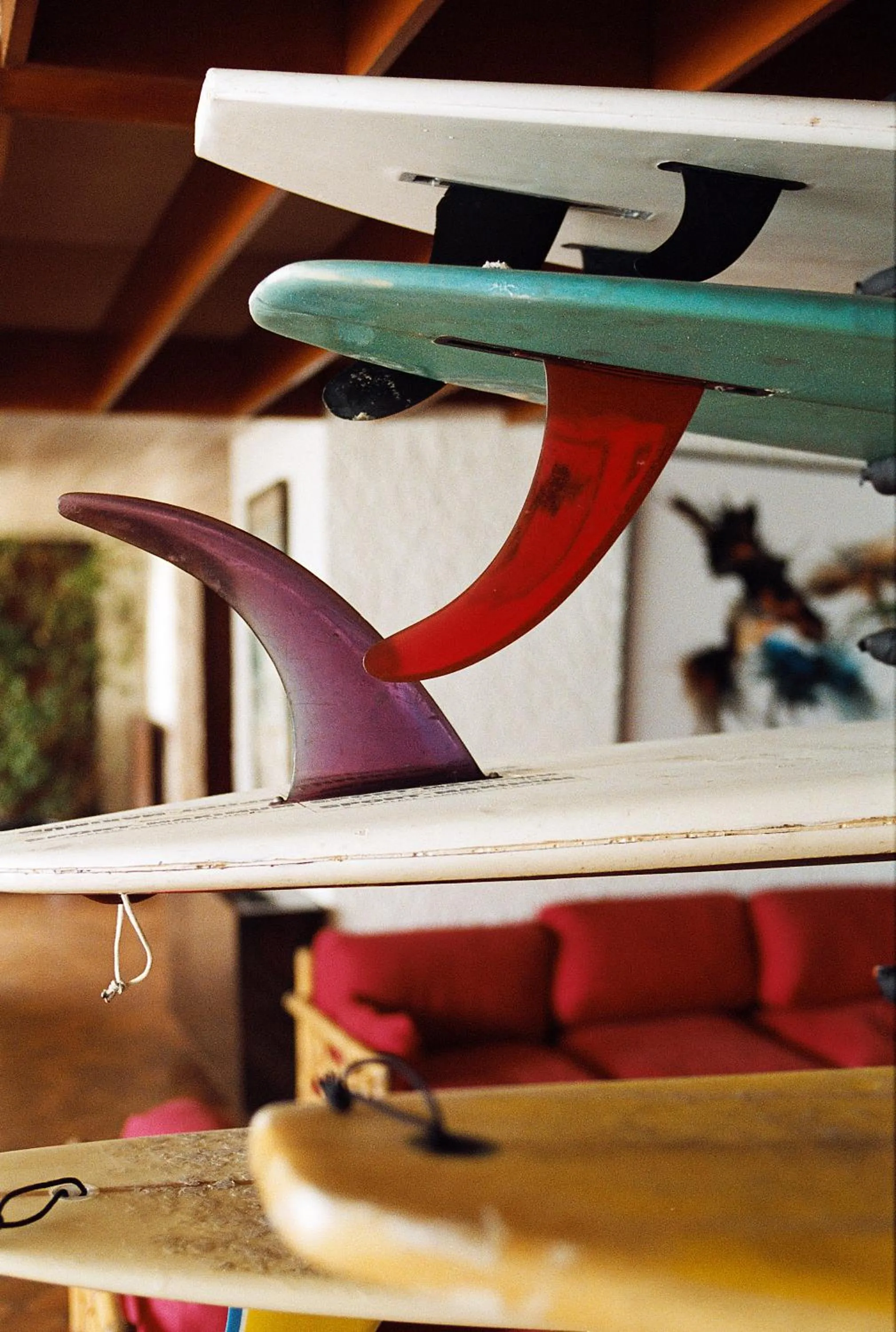 Other in Carlina Lodge