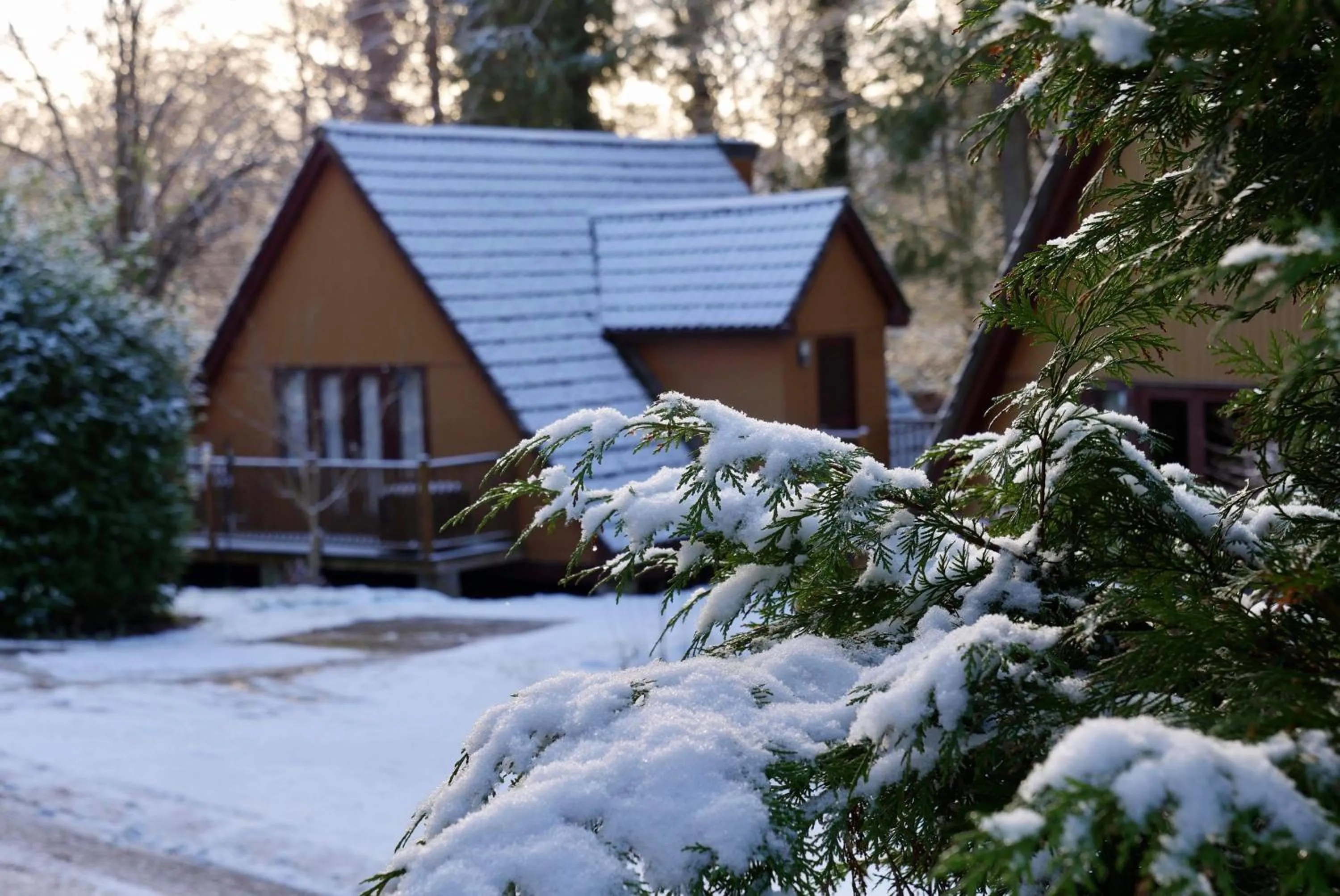 Property building in Ericht Holiday Lodges