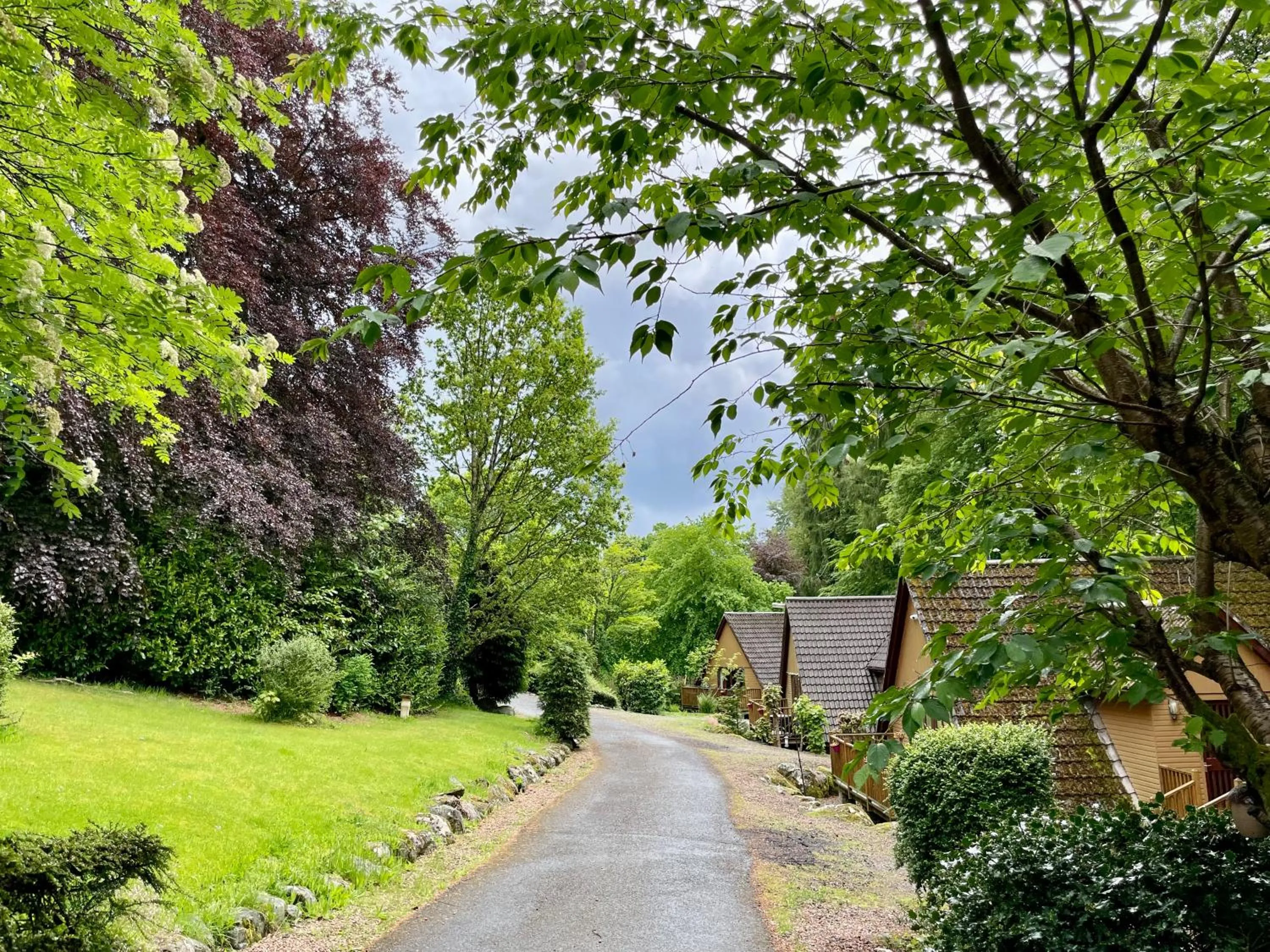Natural landscape in Ericht Holiday Lodges