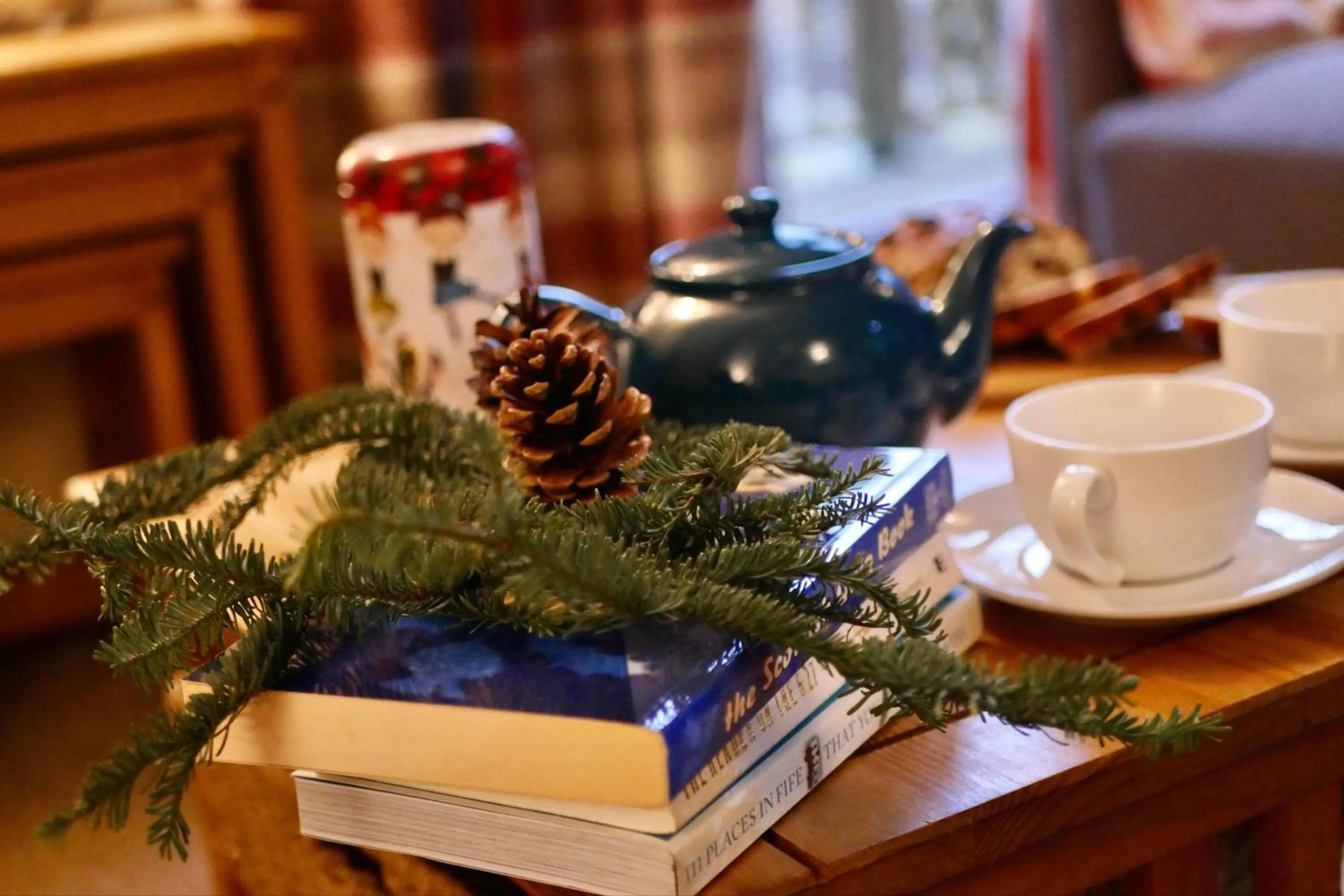 Winter in Ericht Holiday Lodges