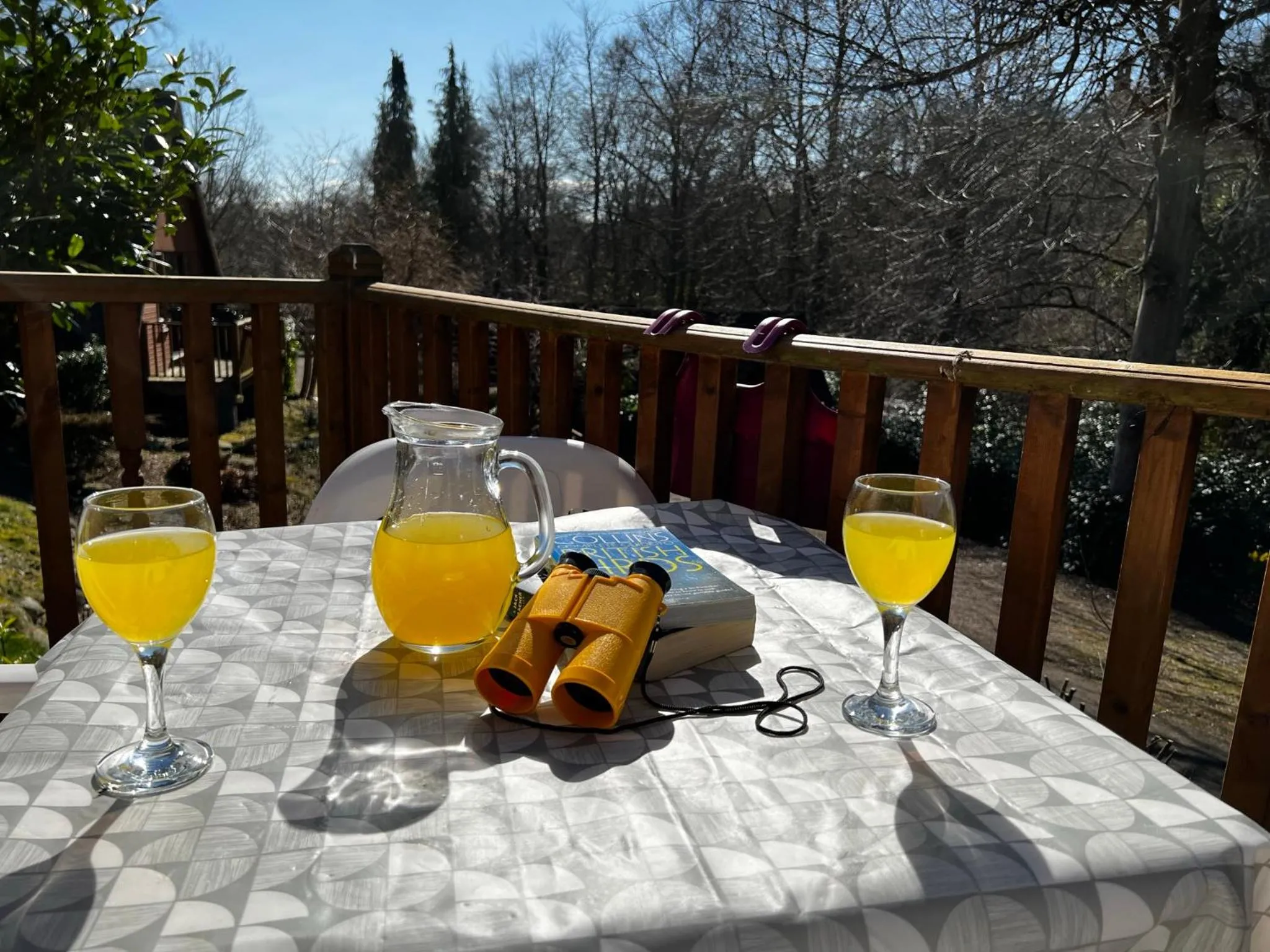 Patio in Ericht Holiday Lodges