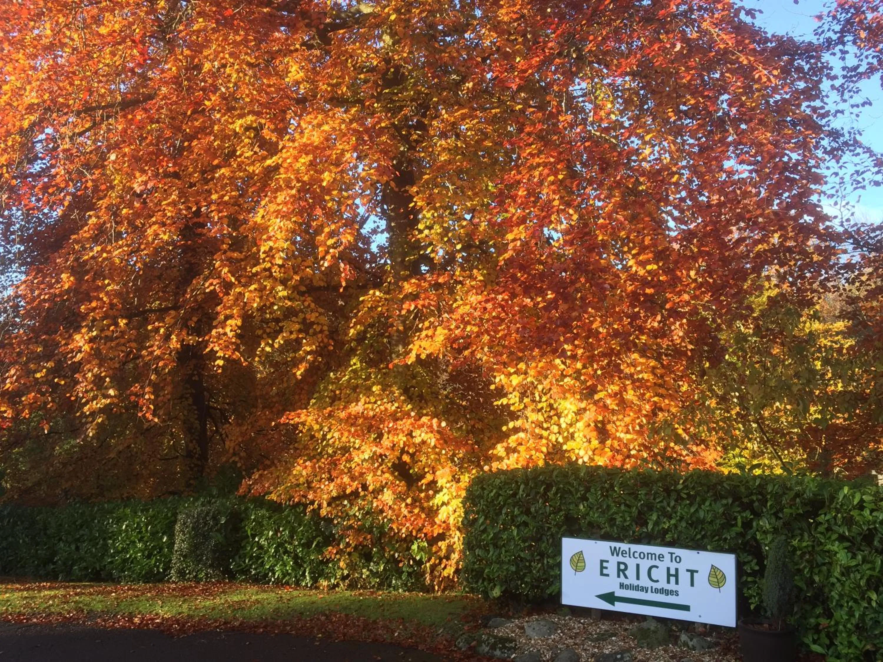 Property logo or sign in Ericht Holiday Lodges