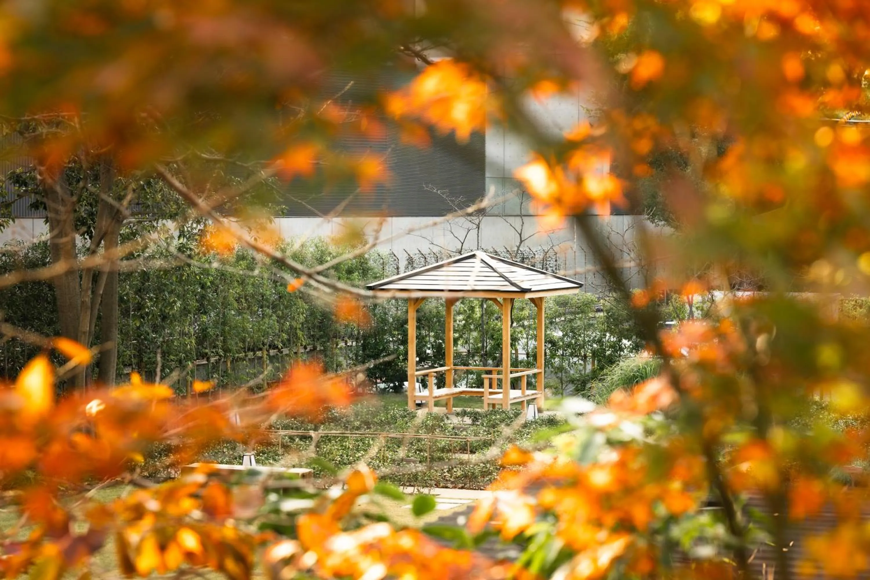 View (from property/room) in Six Senses Kyoto